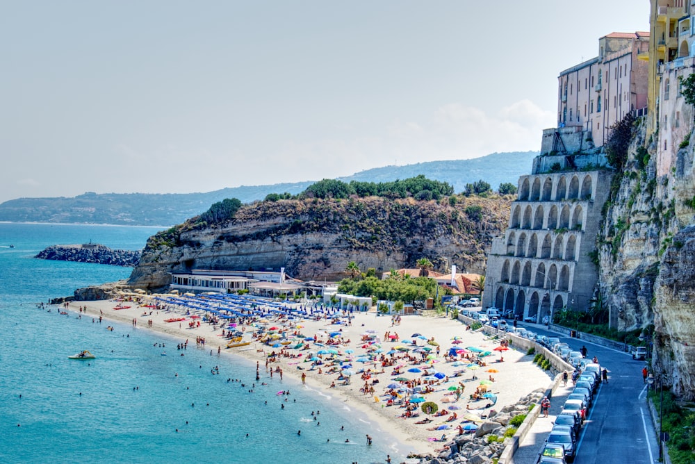 people on beach during daytime