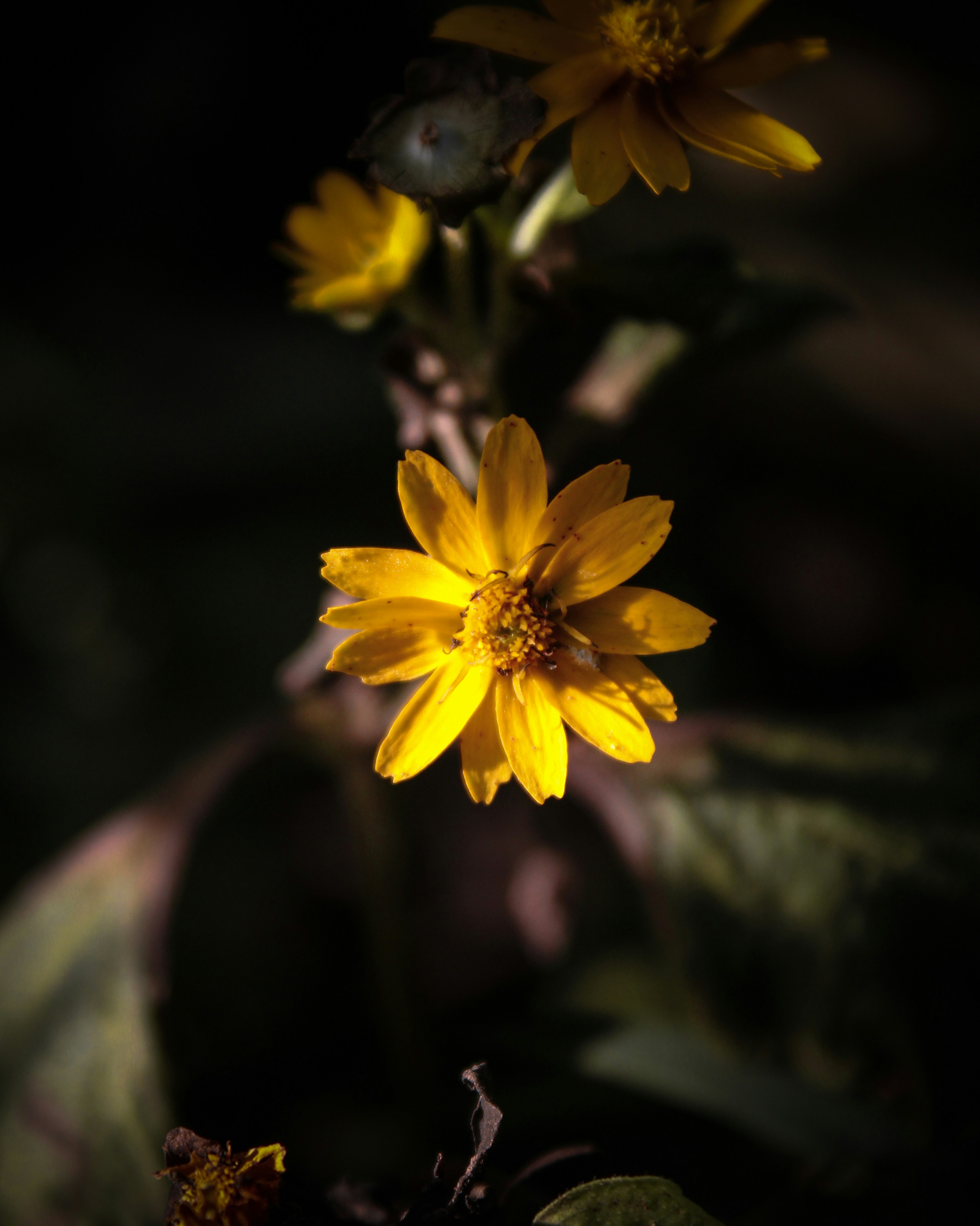 Photo by _zanalafif26