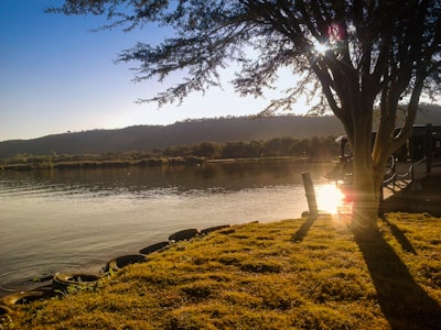 body of water near trees during sunset zimbabwe google meet background