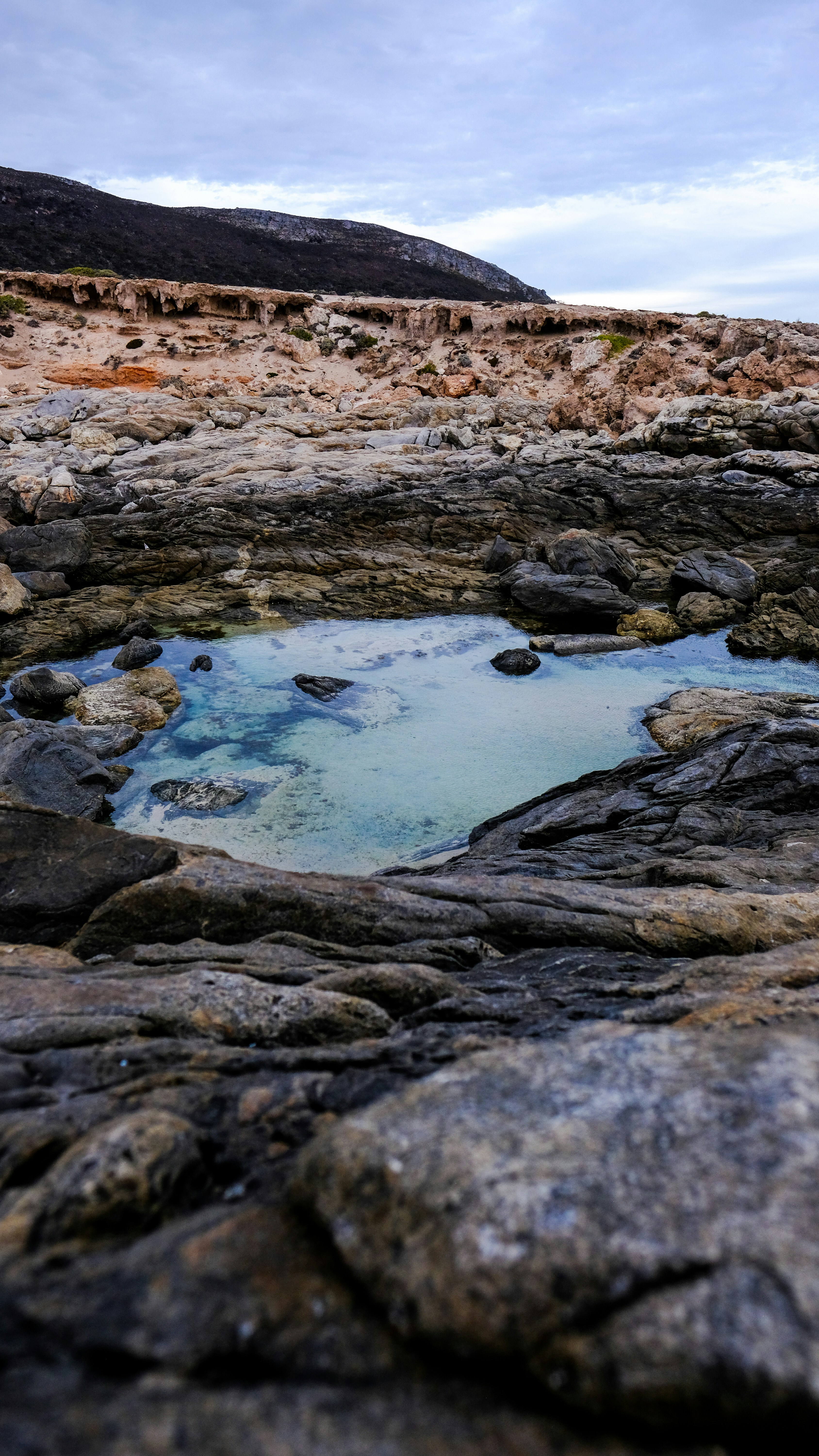 specchio d'acqua vicino all'erba marrone e verde durante il giorno