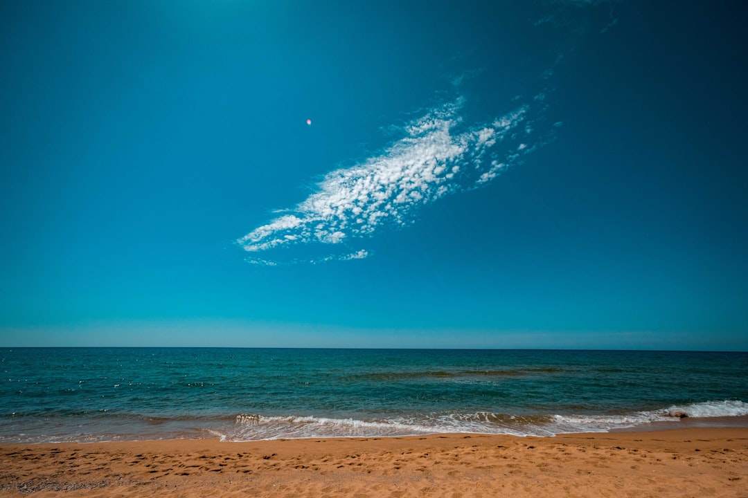 birds flying over the sea during daytime