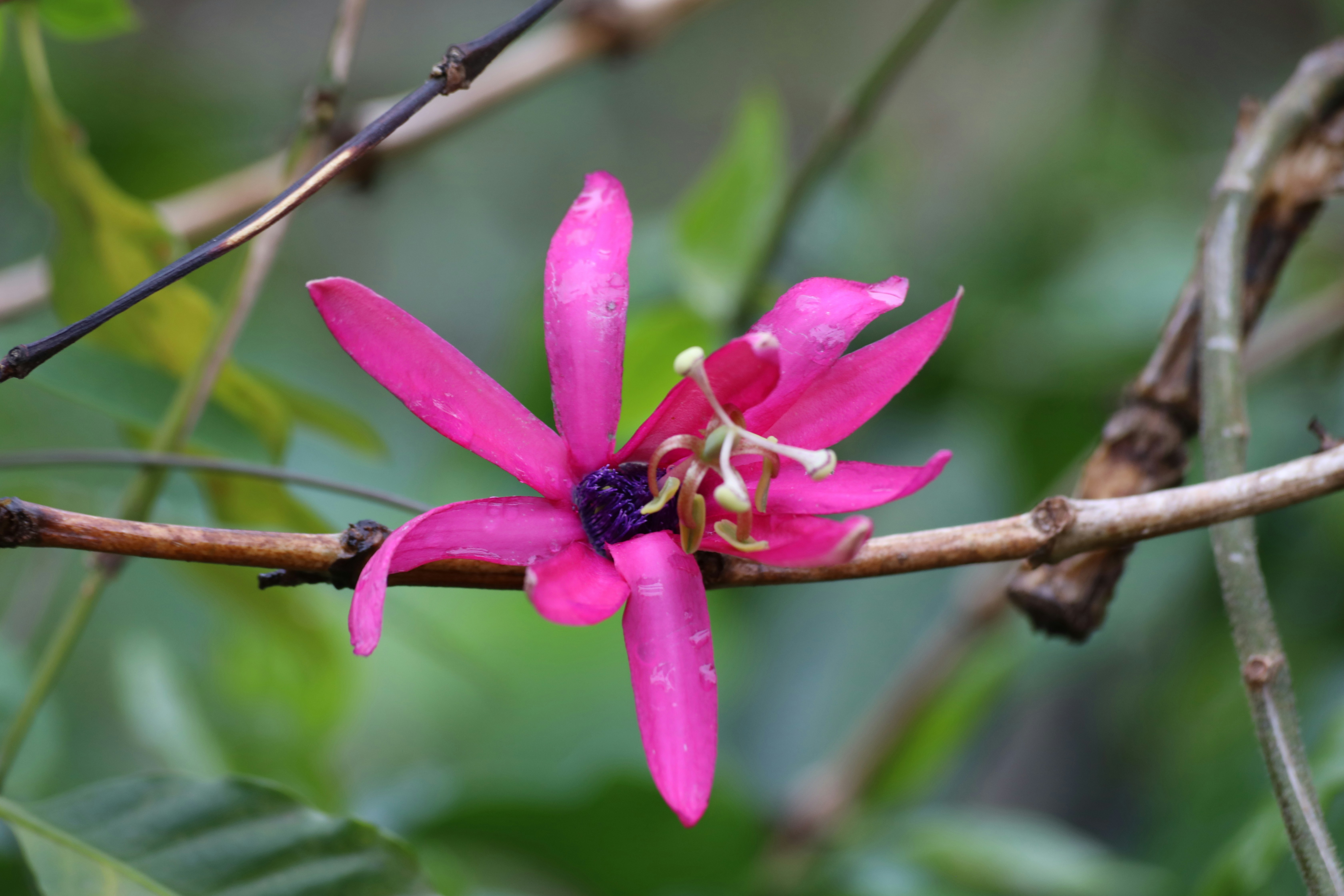 Photo by marcusdallcol