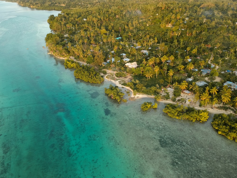 Veduta aerea di alberi verdi e specchio d'acqua durante il giorno