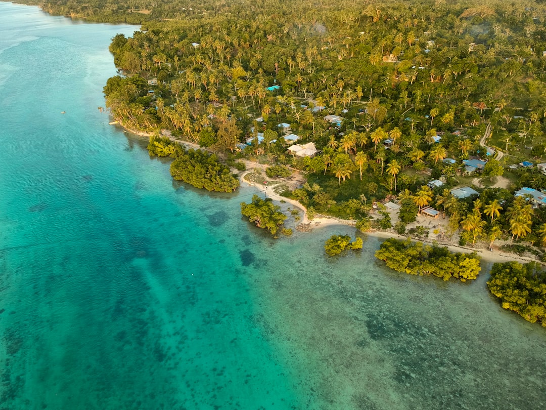 aerial view of green trees and body of water during daytime