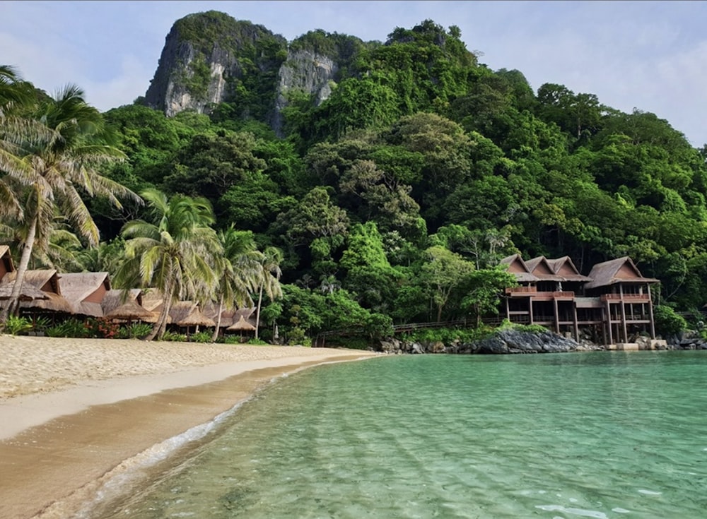 people on beach near green trees and mountain during daytime