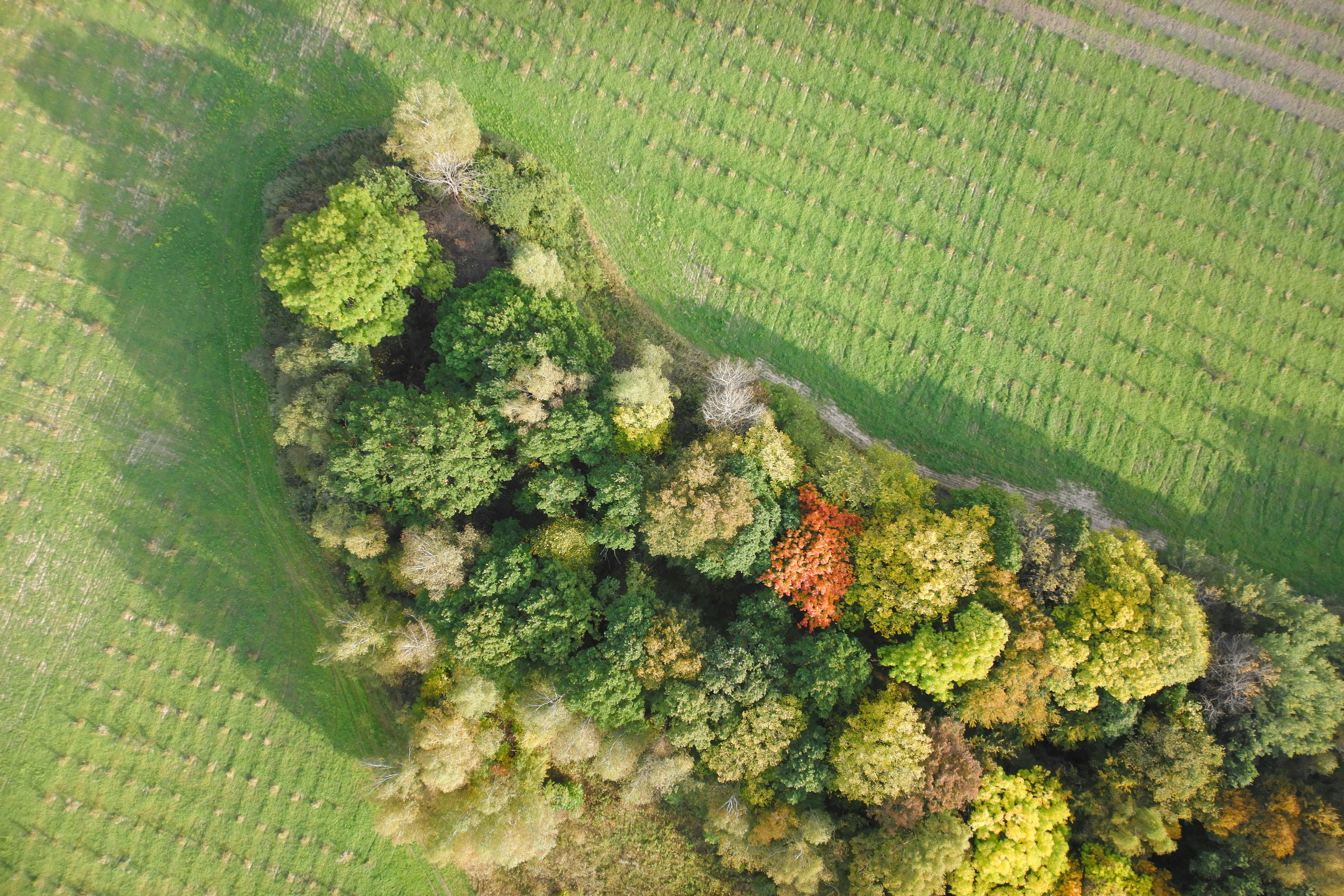 Photo by alekhinsasha