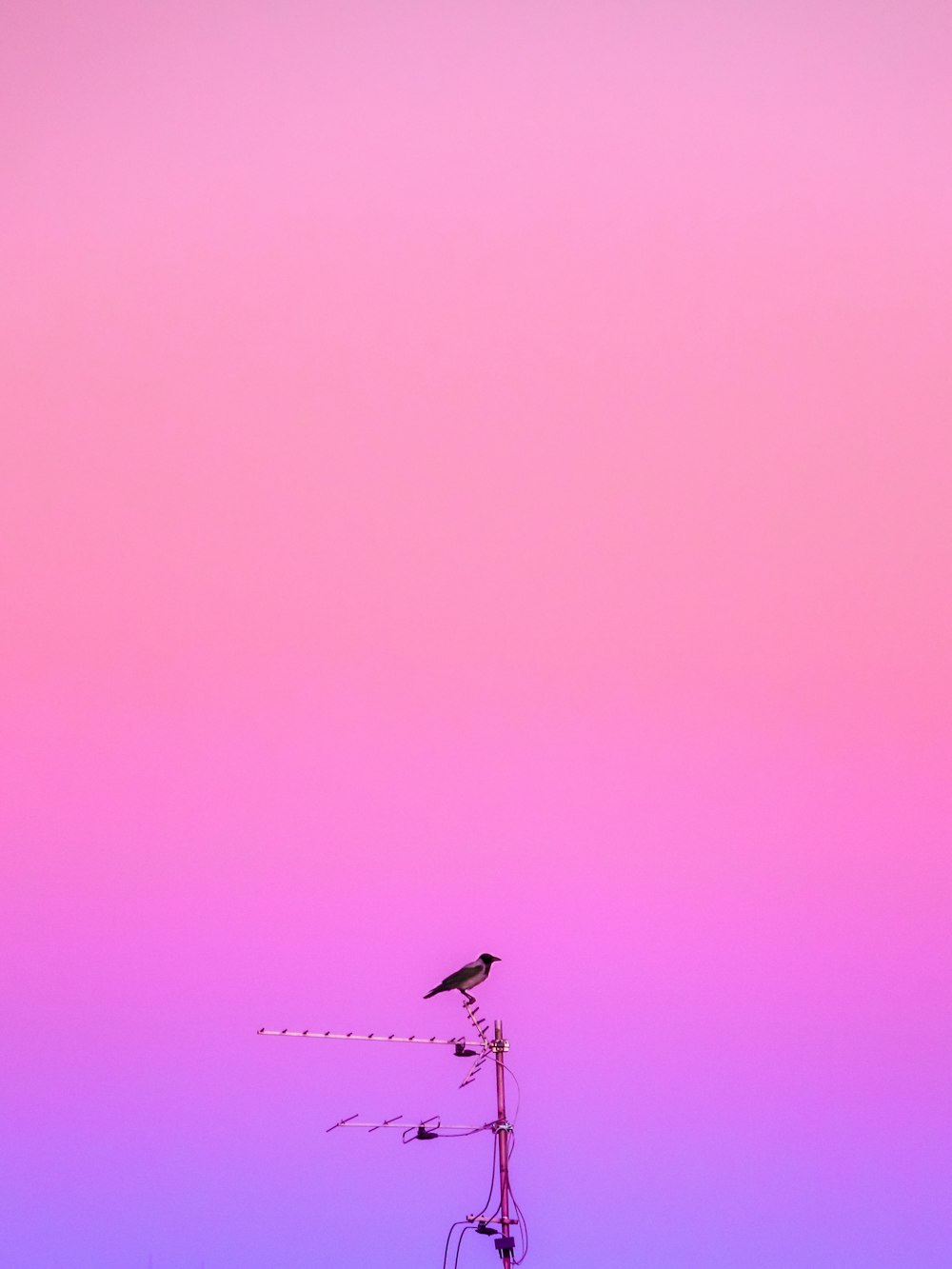 white and black windmill under purple sky