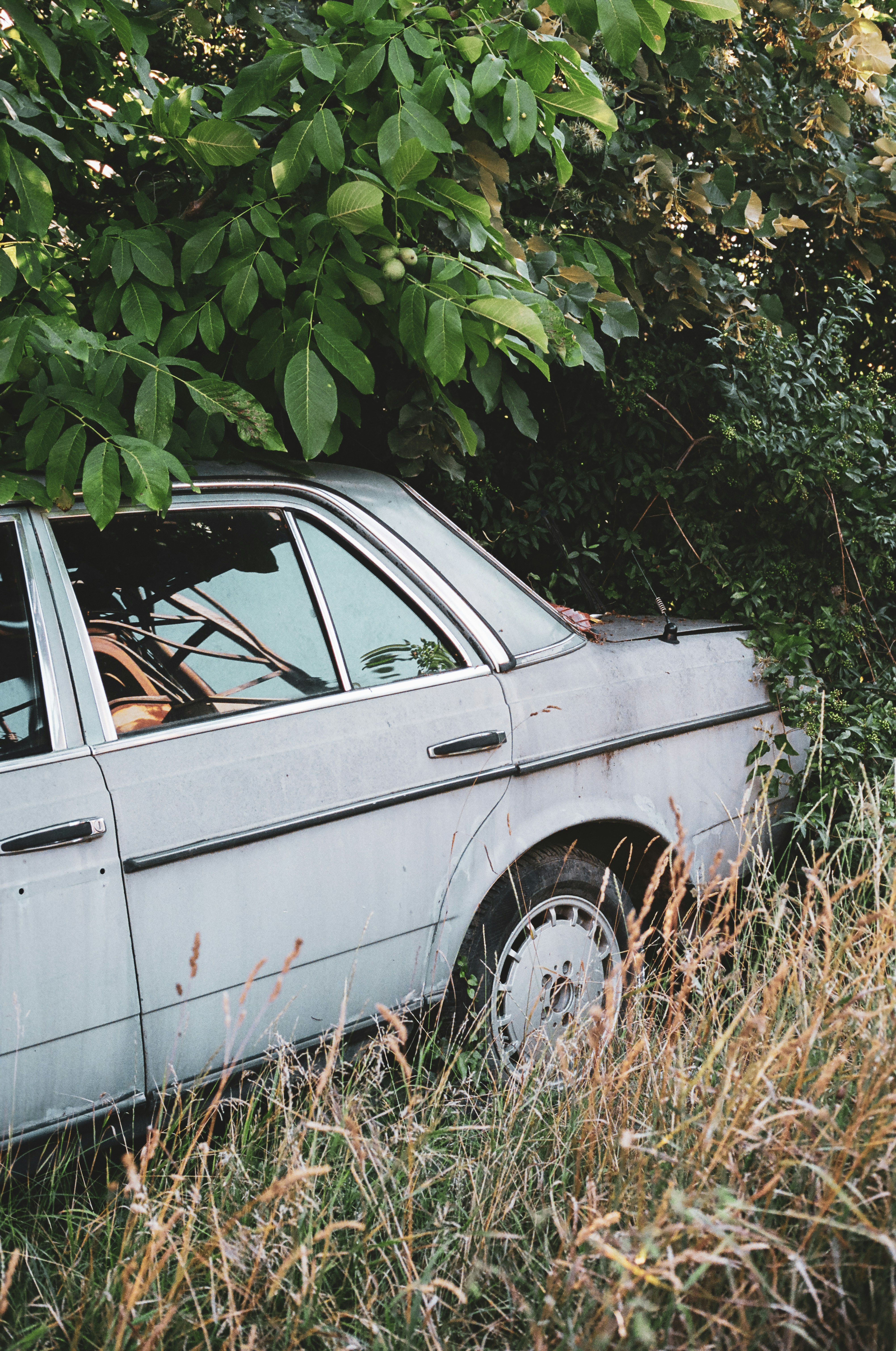 Photo by thewanderinggenk