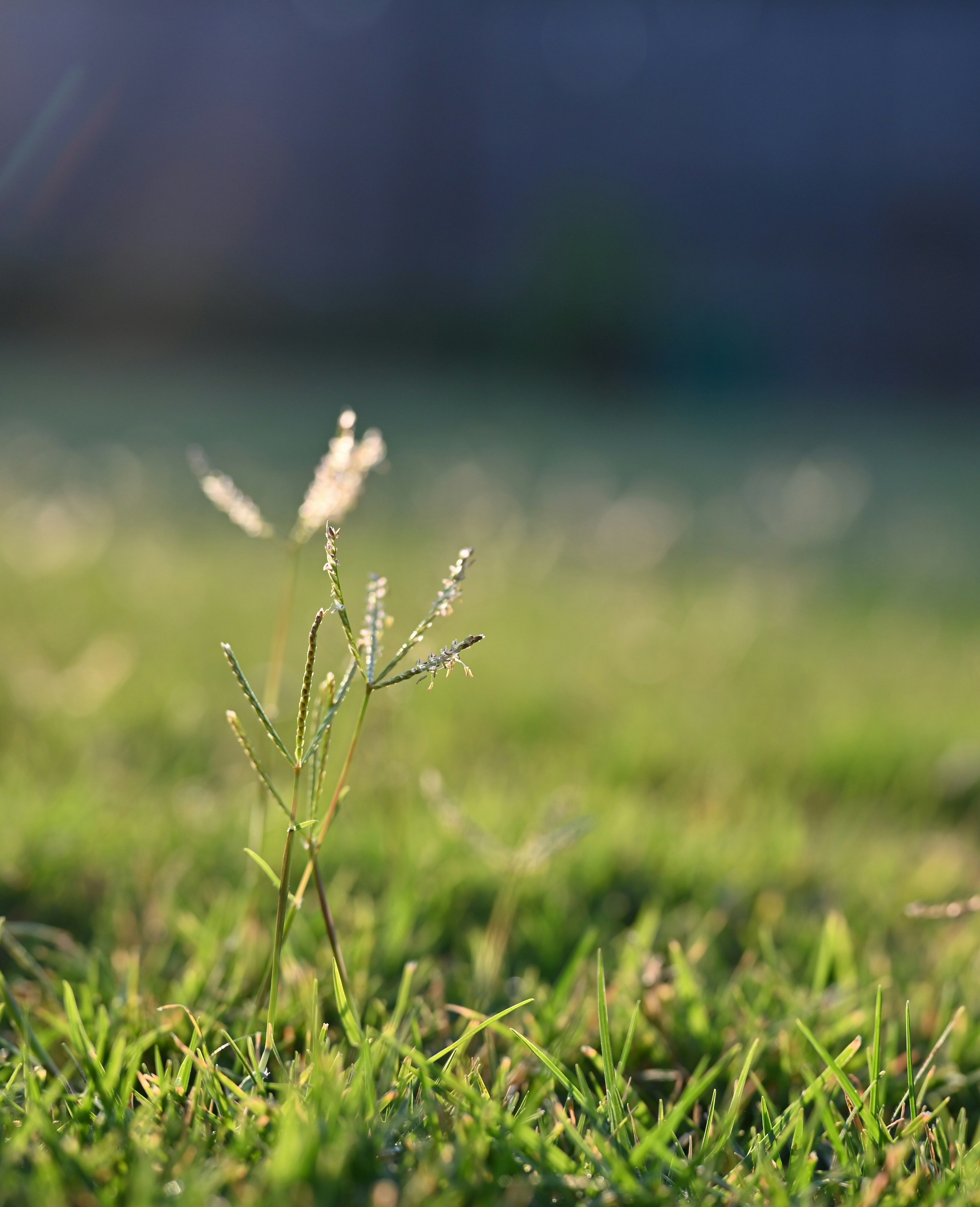 Photo by seventysixstories