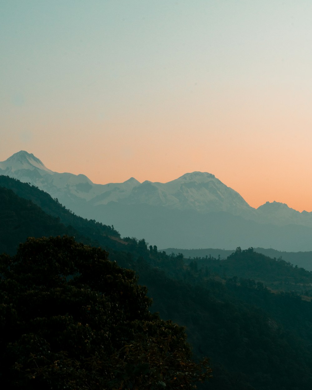 green trees and mountains during daytime