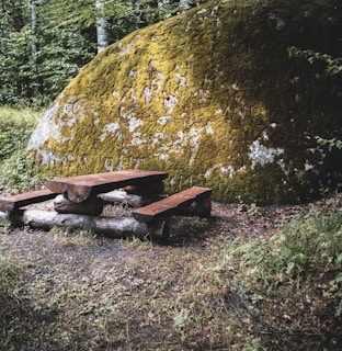 A rustic wooden picnic table made from logs is set in a natural environment, surrounded by green plants and a large moss-covered rock.