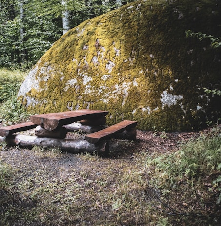 A rustic wooden picnic table made from logs is set in a natural environment, surrounded by green plants and a large moss-covered rock.