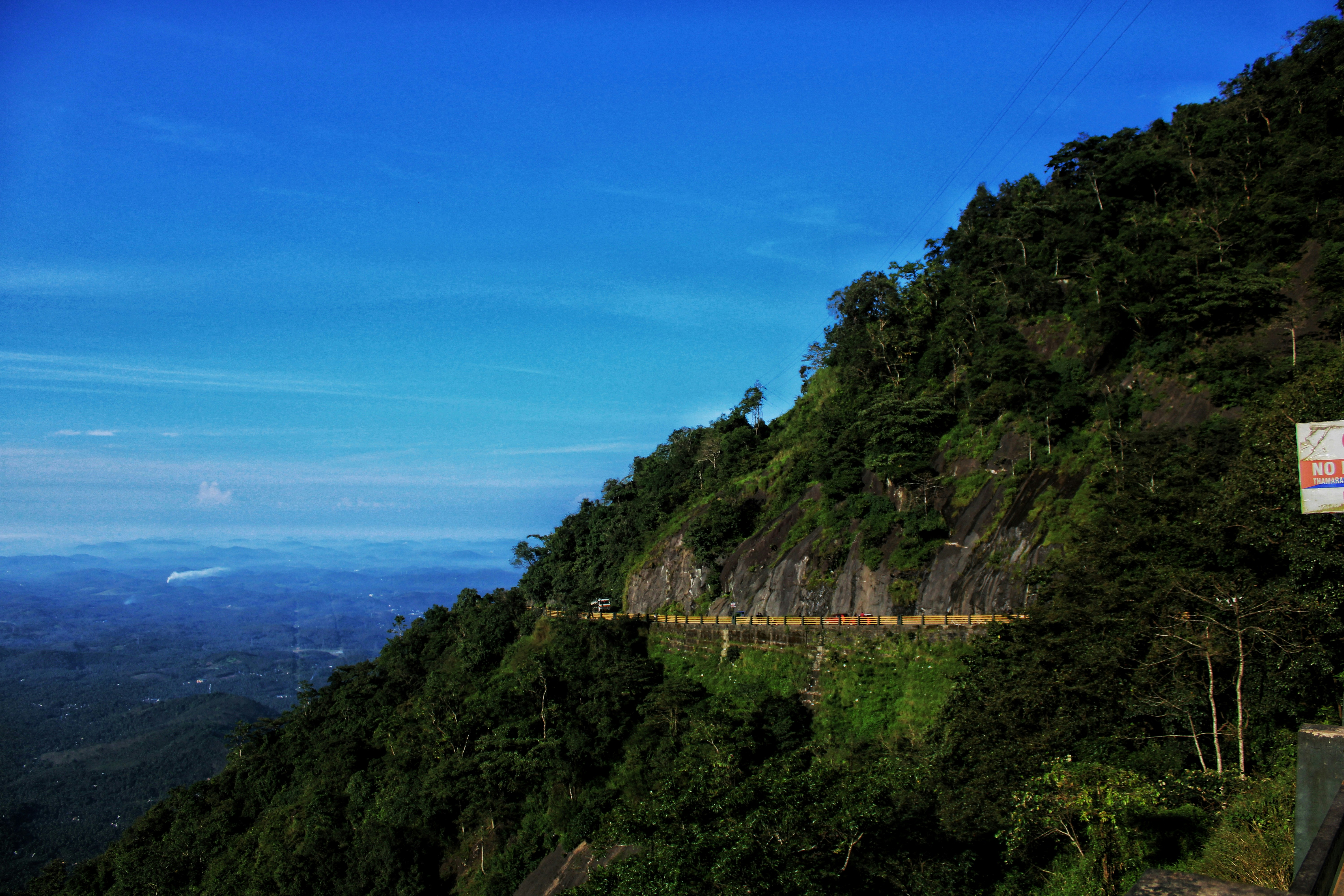 green trees on mountain near body of water during daytime