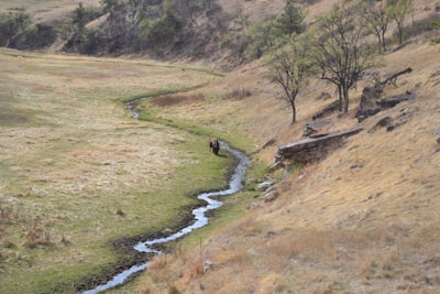 person in black jacket walking on river during daytime south dakota google meet background