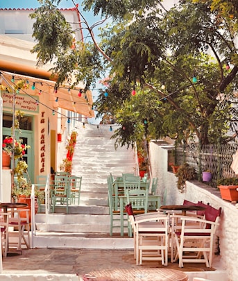 brown wooden chairs and tables near green trees during daytime