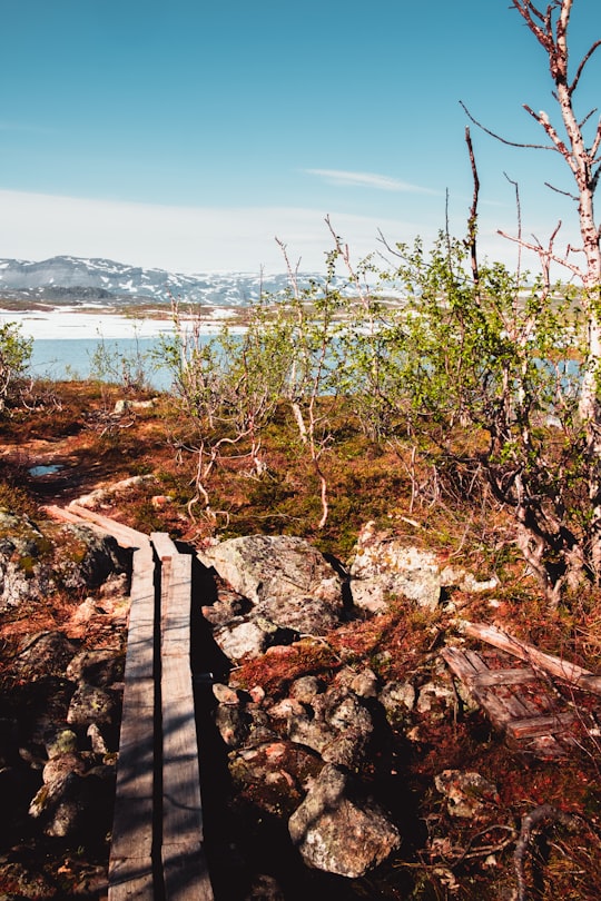 brown wooden dock on body of water during daytime in Abisko Sweden