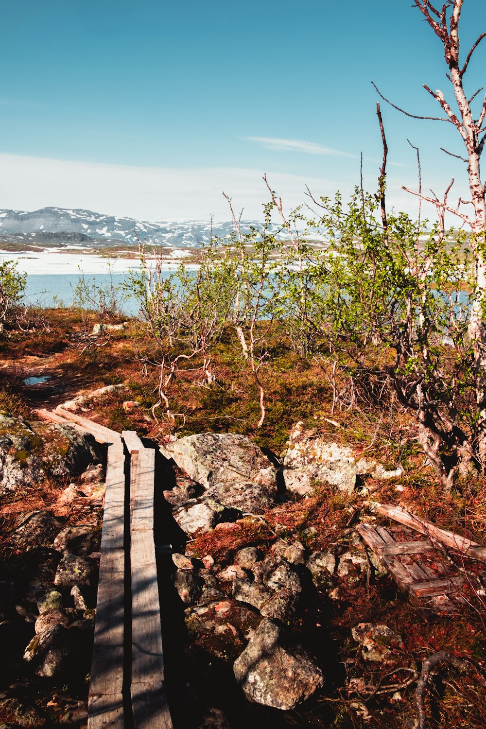 brown wooden dock on body of water during daytime