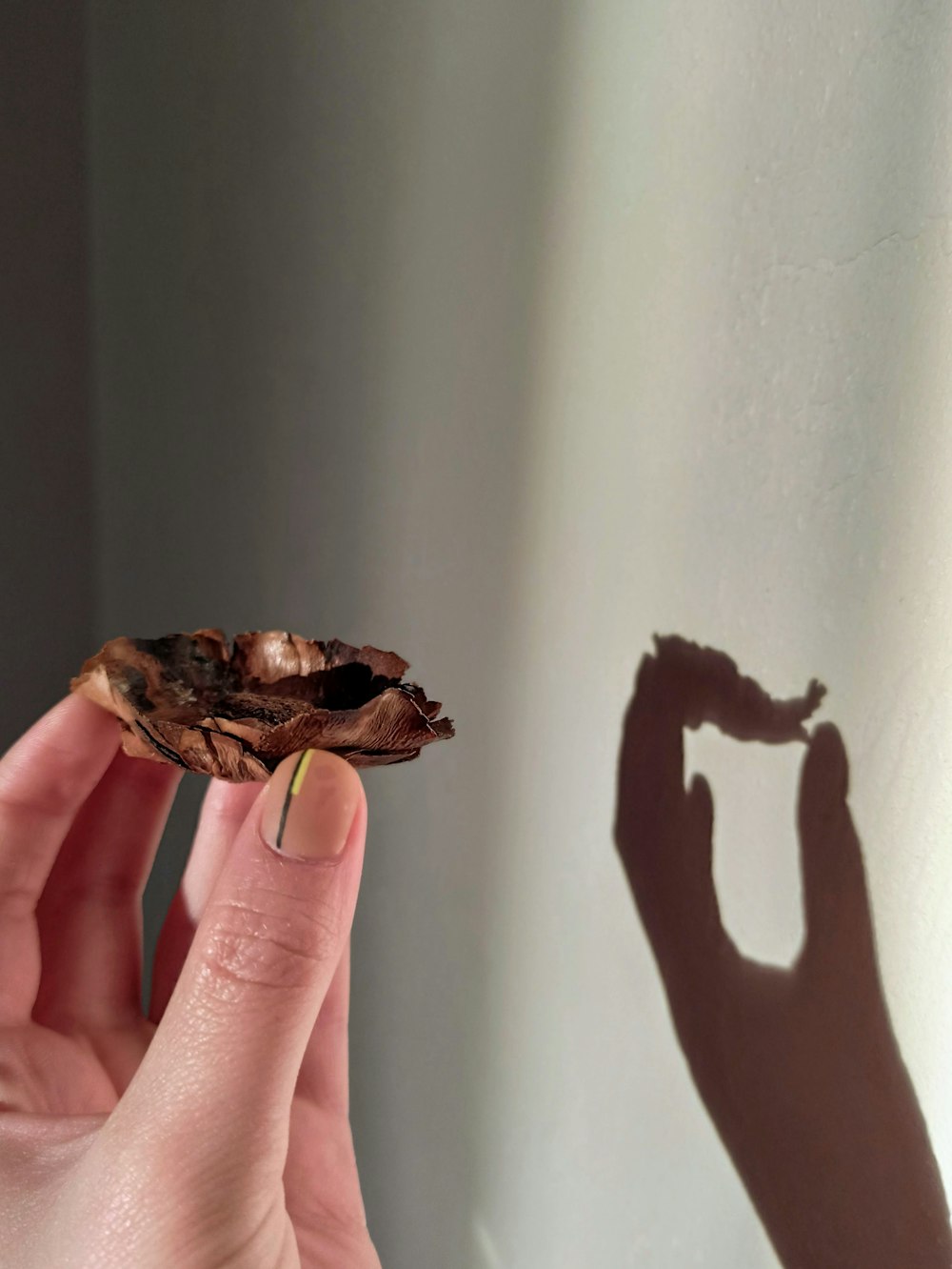 person holding brown wooden fish figurine