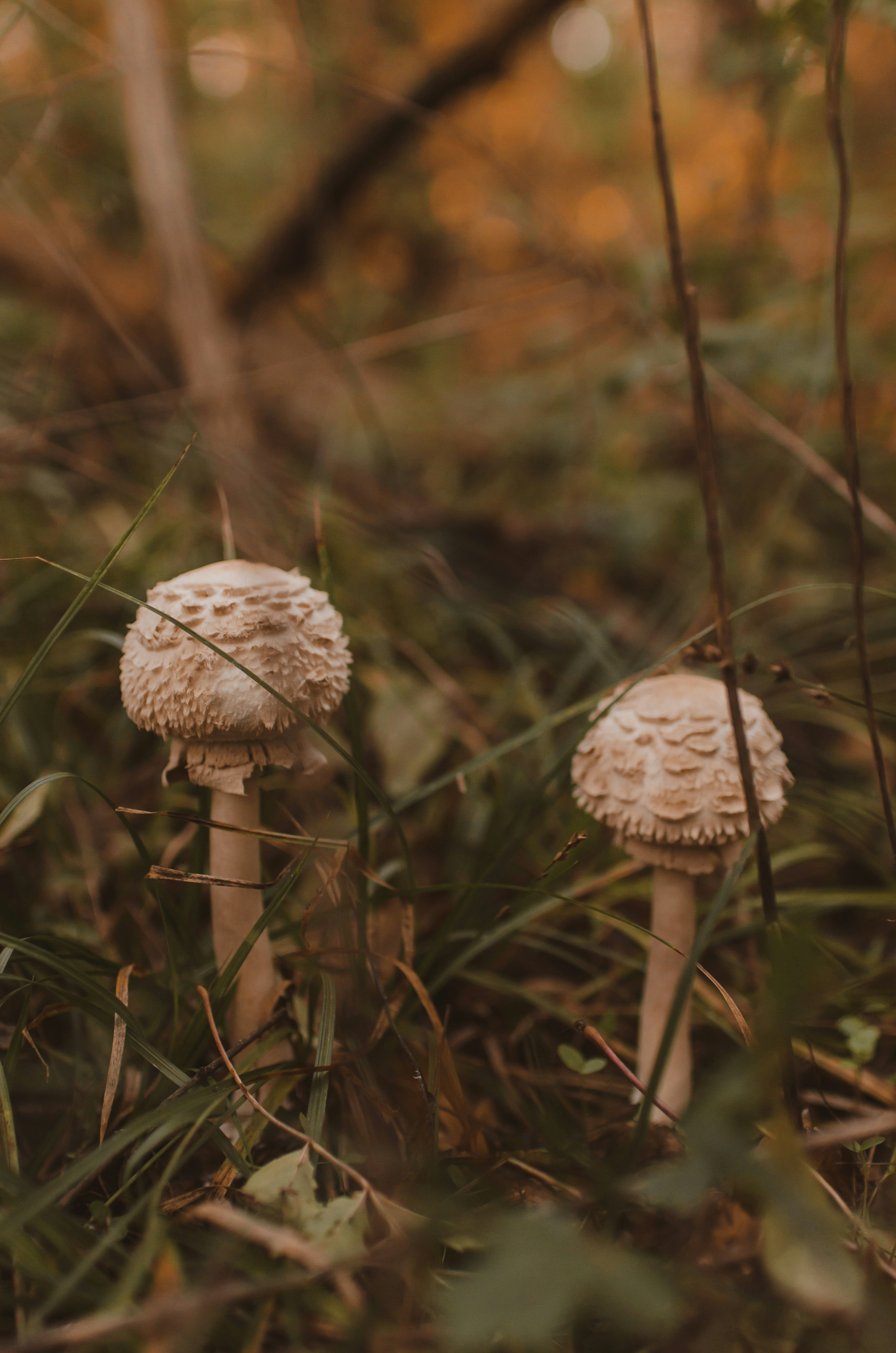 Photo by gamanalice3012