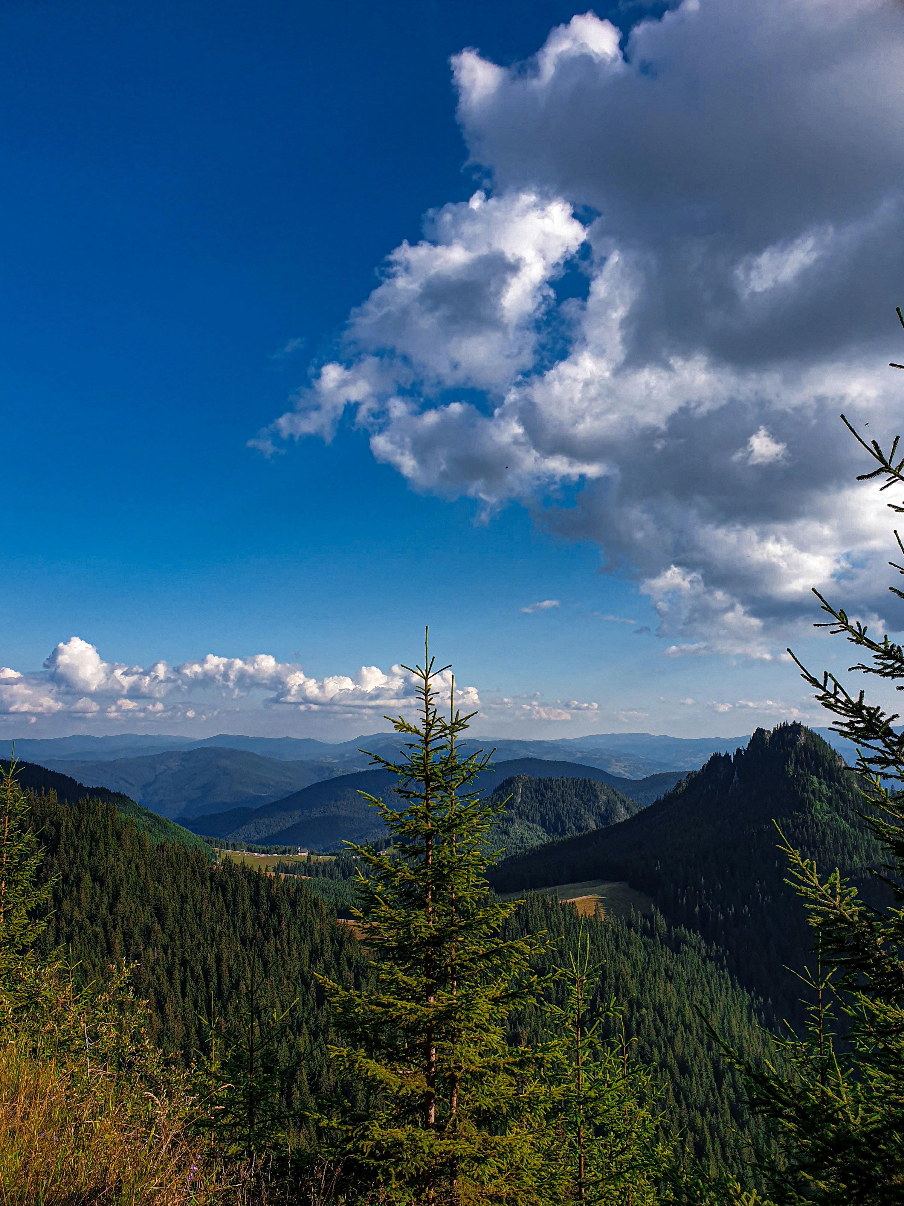 Photo by nasteagangal