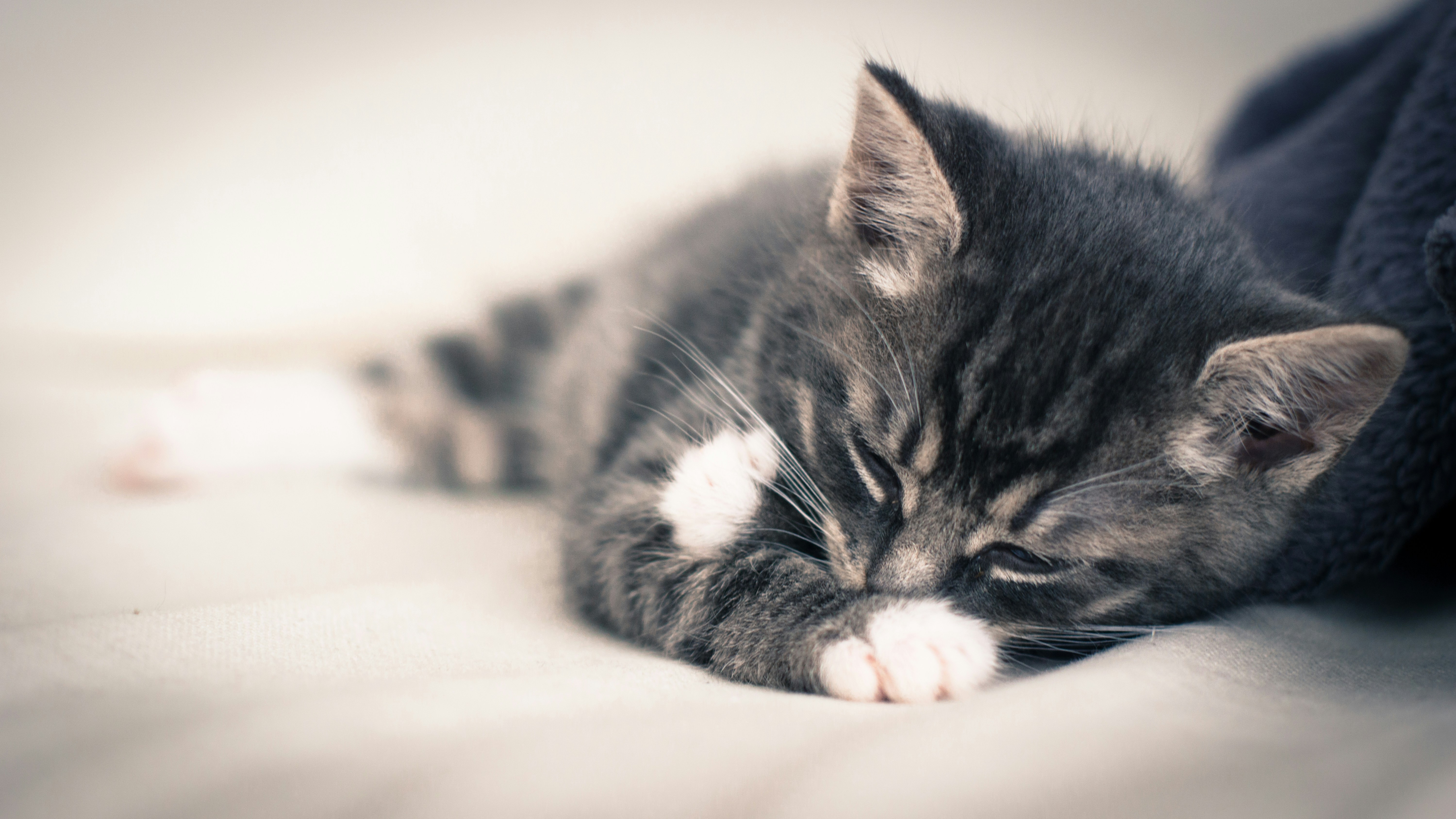 Photo by litschigraphie