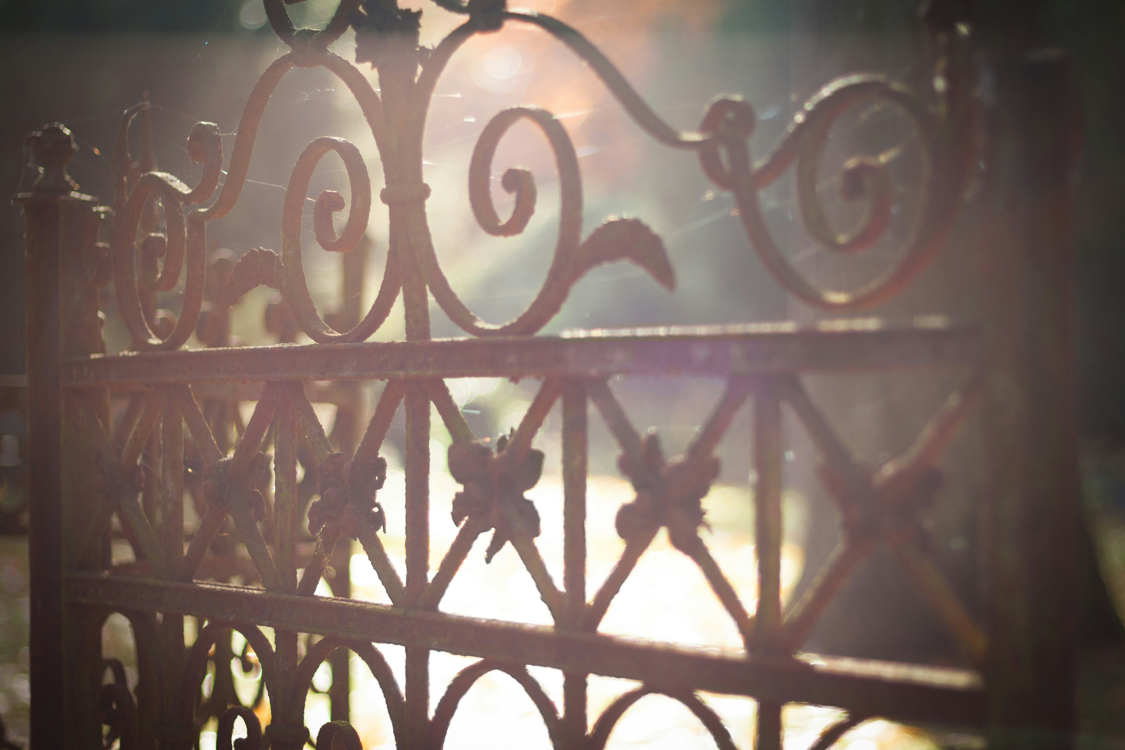 Photo by litschigraphie