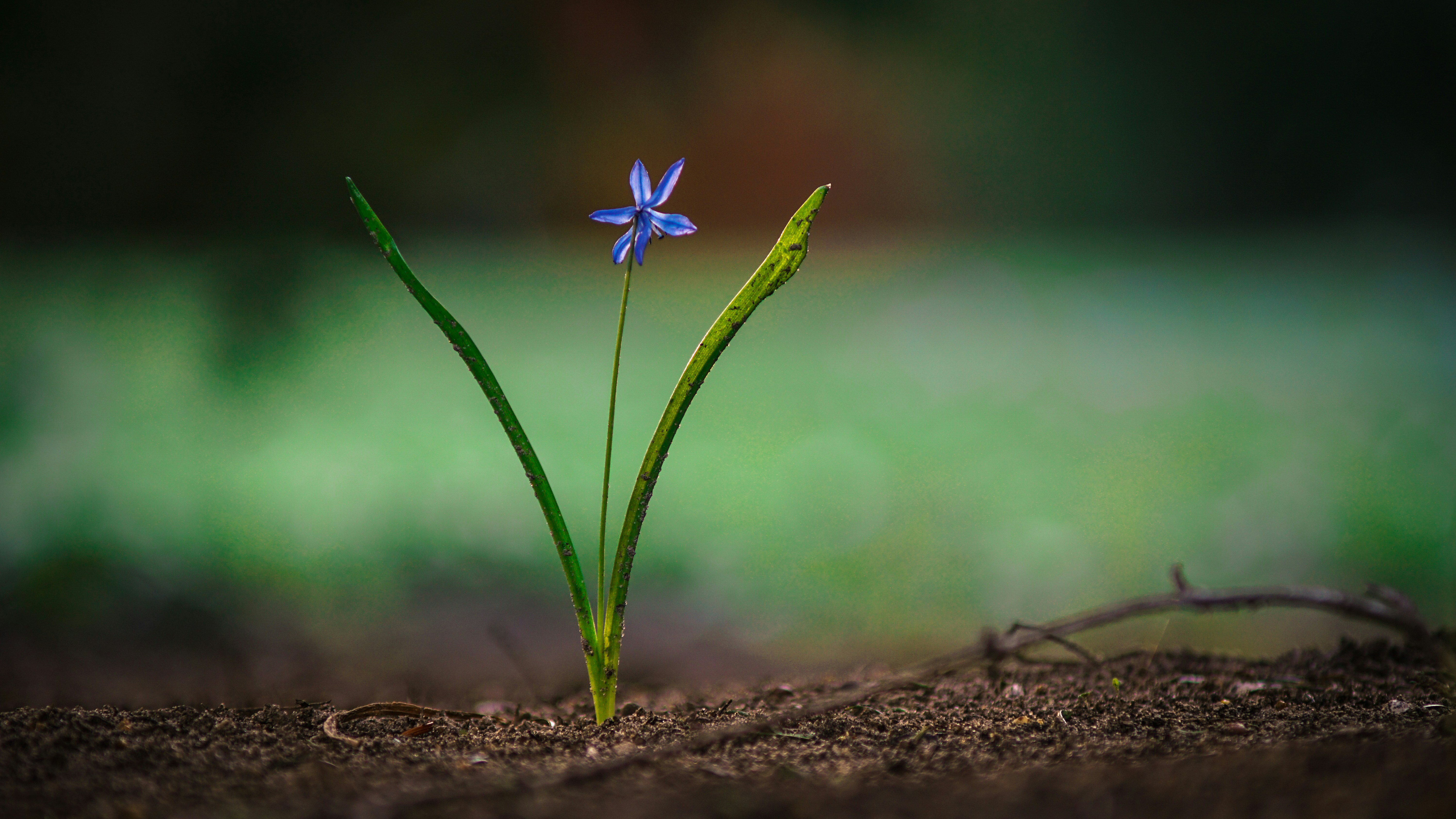 Photo by litschigraphie