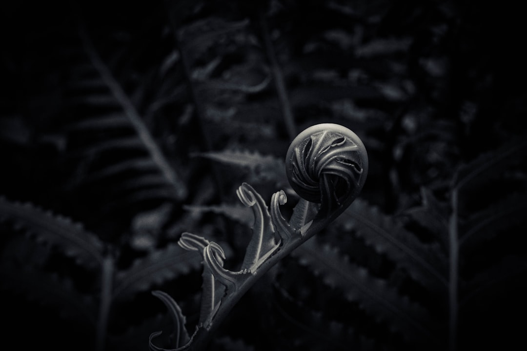 grayscale photo of flower bud