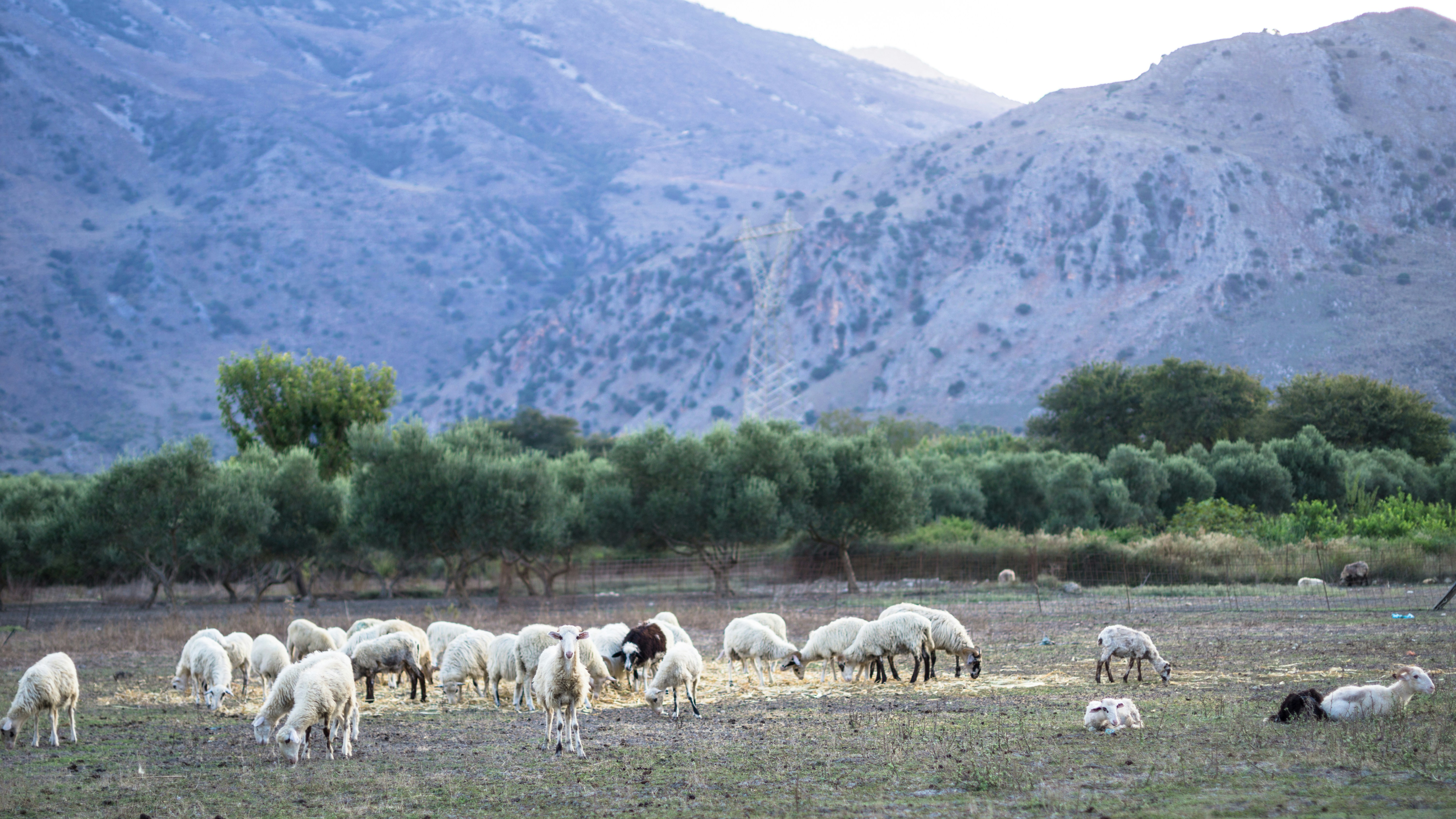 Photo by litschigraphie