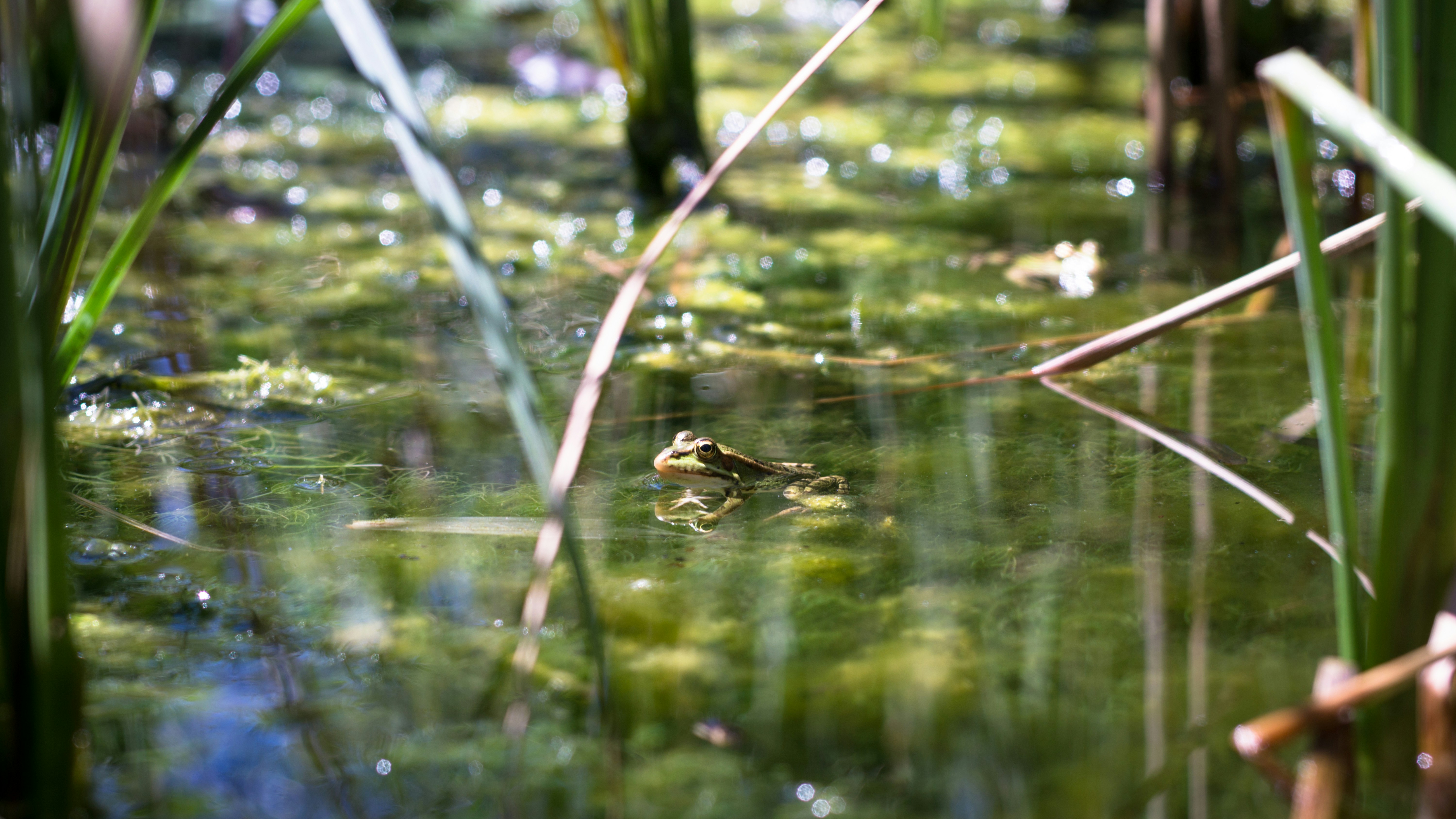 Photo by litschigraphie