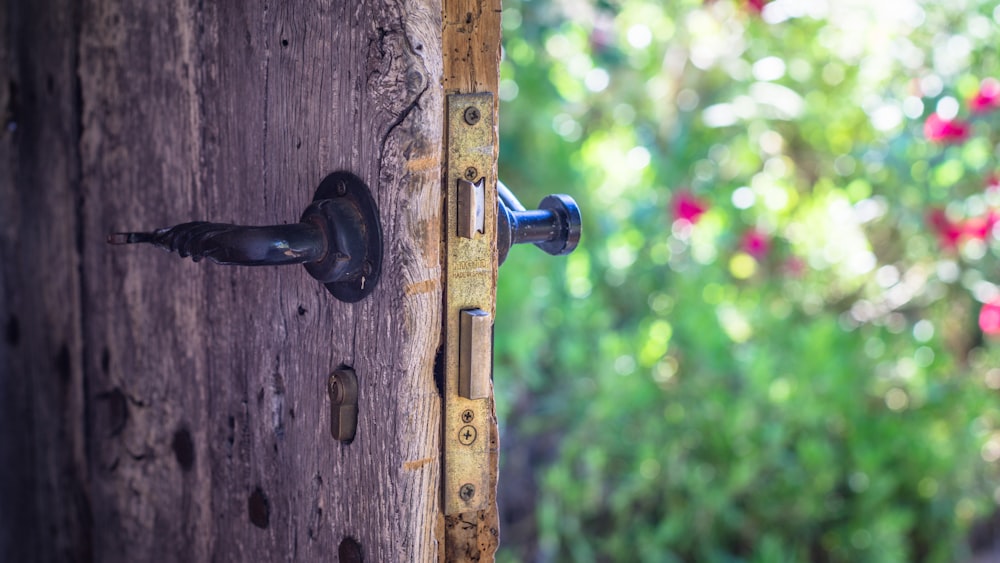 brown wooden door with black steel door lever