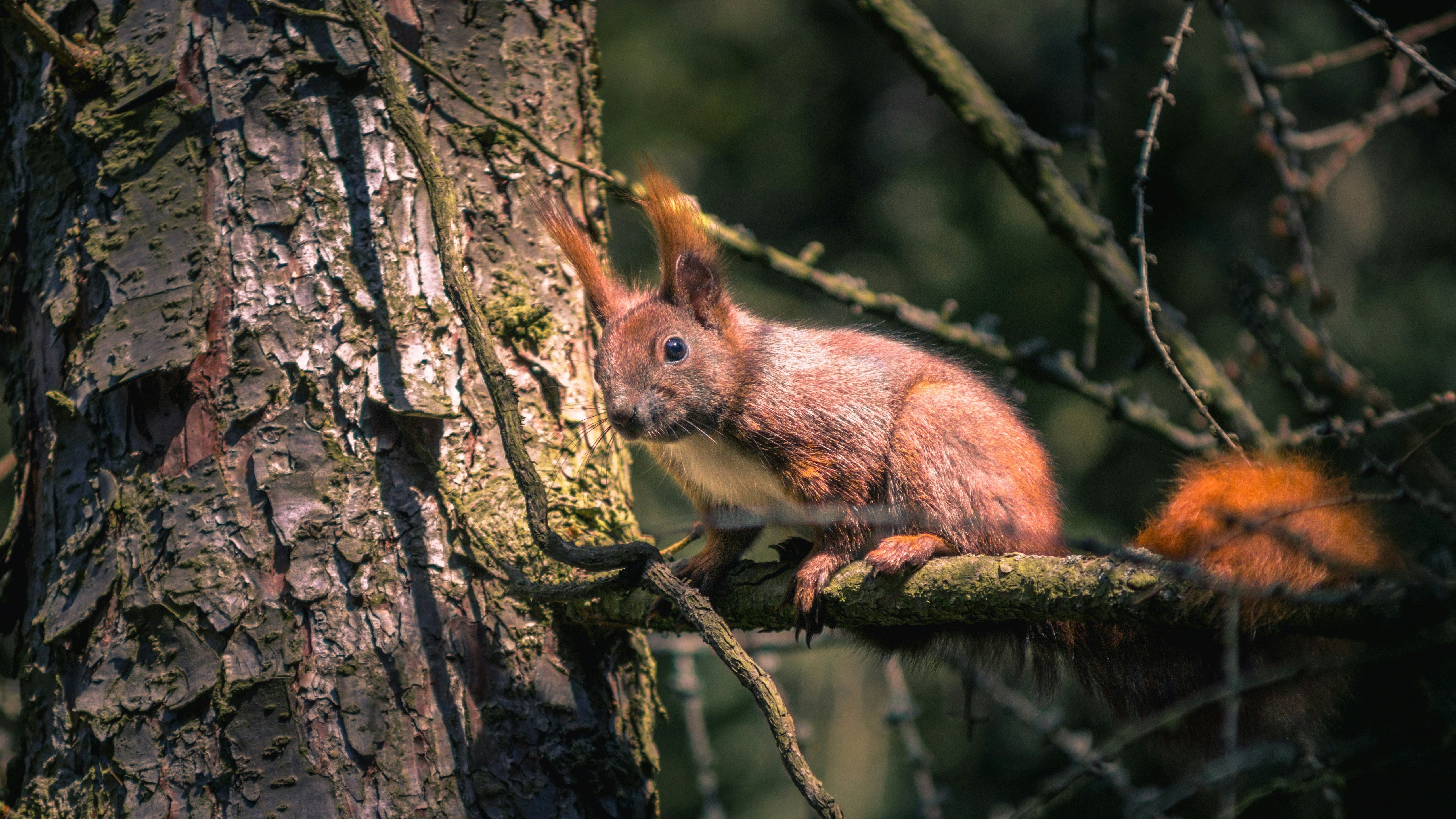 Photo by litschigraphie