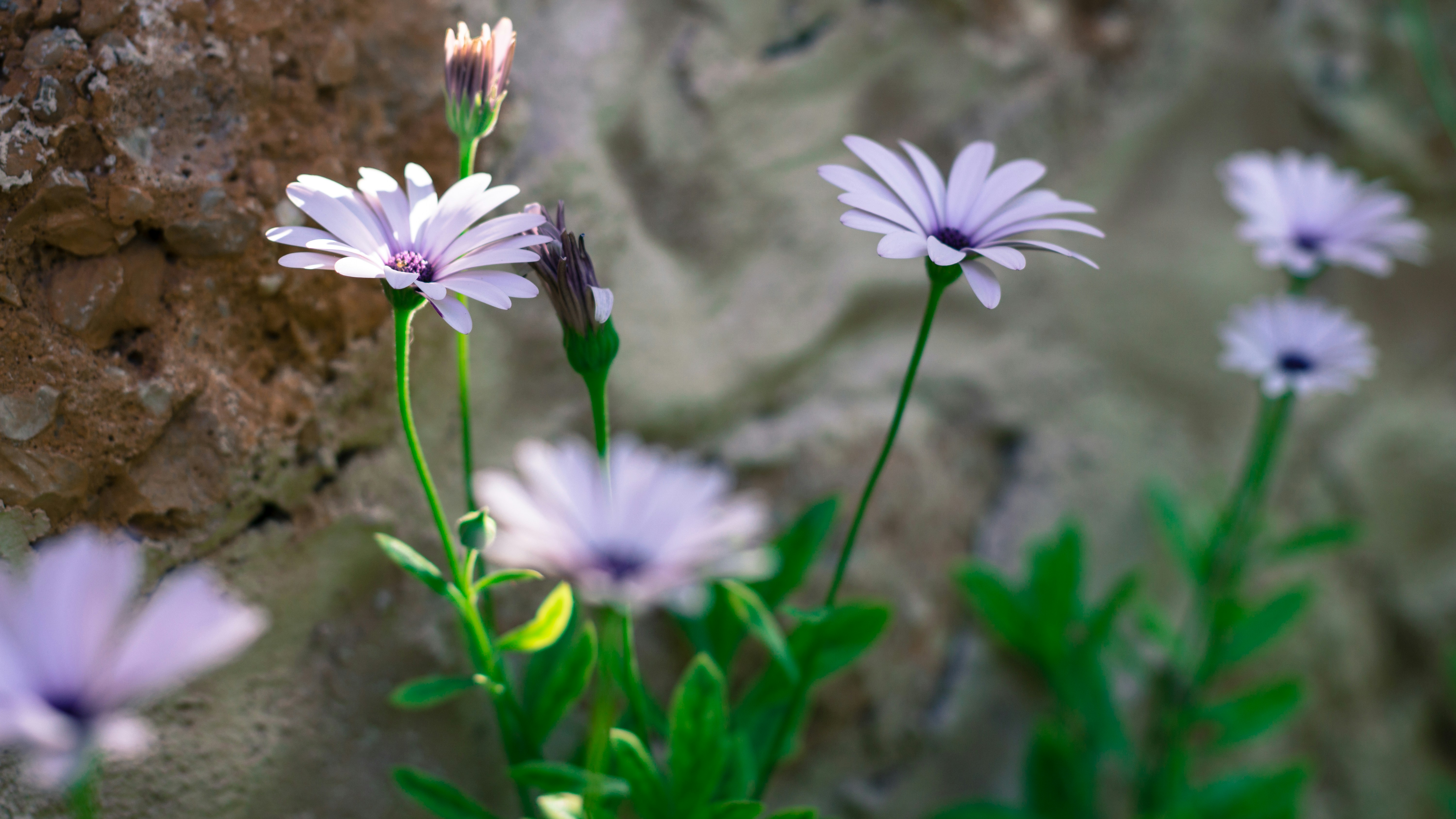 Photo by litschigraphie