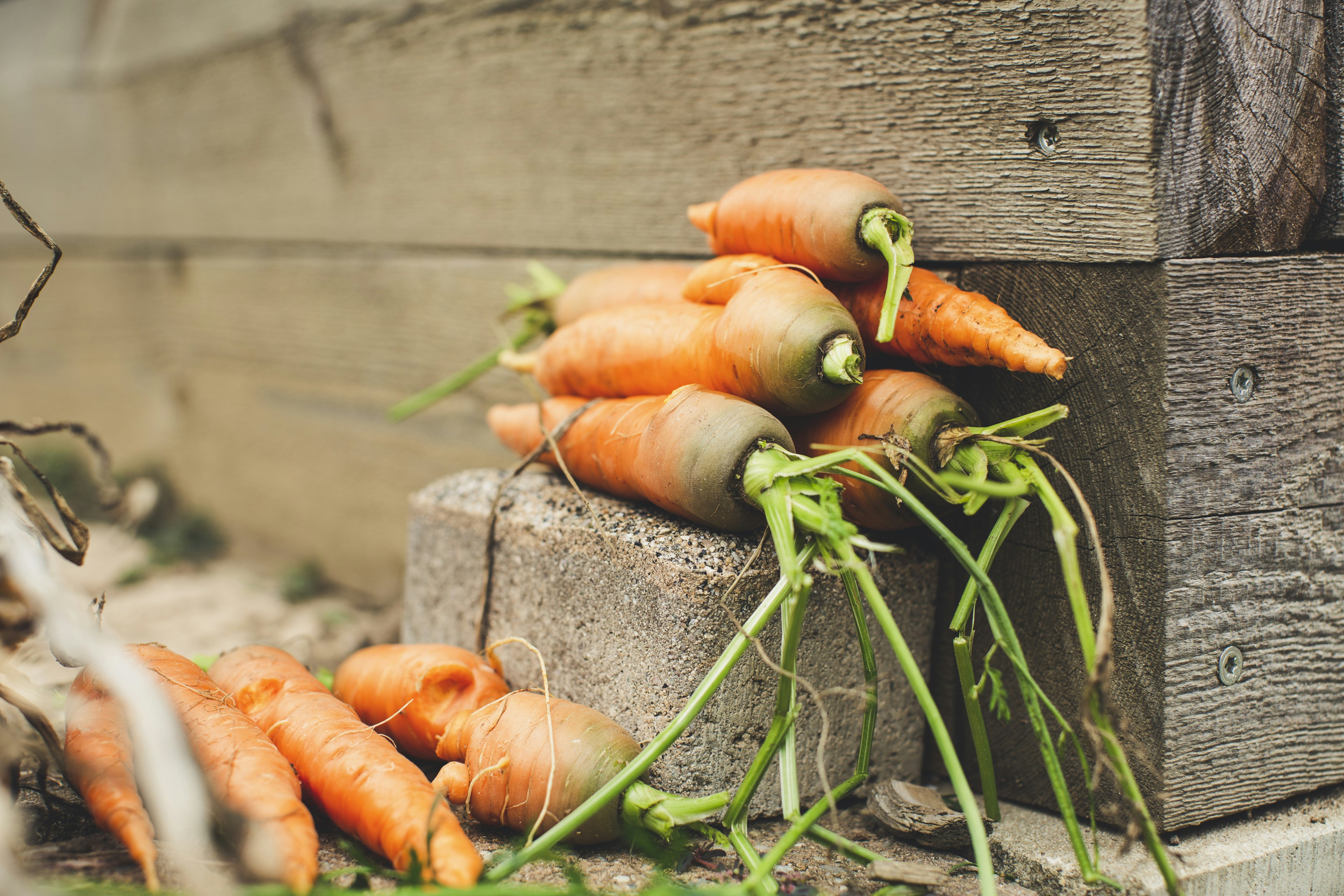 photo 1602593541895 f40853bc7999?ixlib=rb 4.0