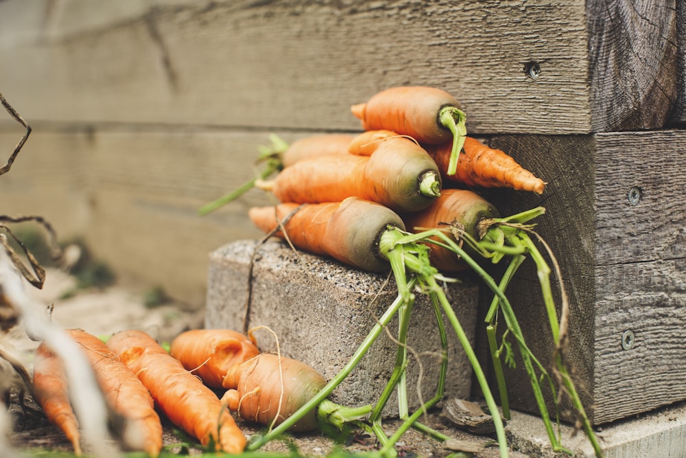 orange carrots on gray wooden plank