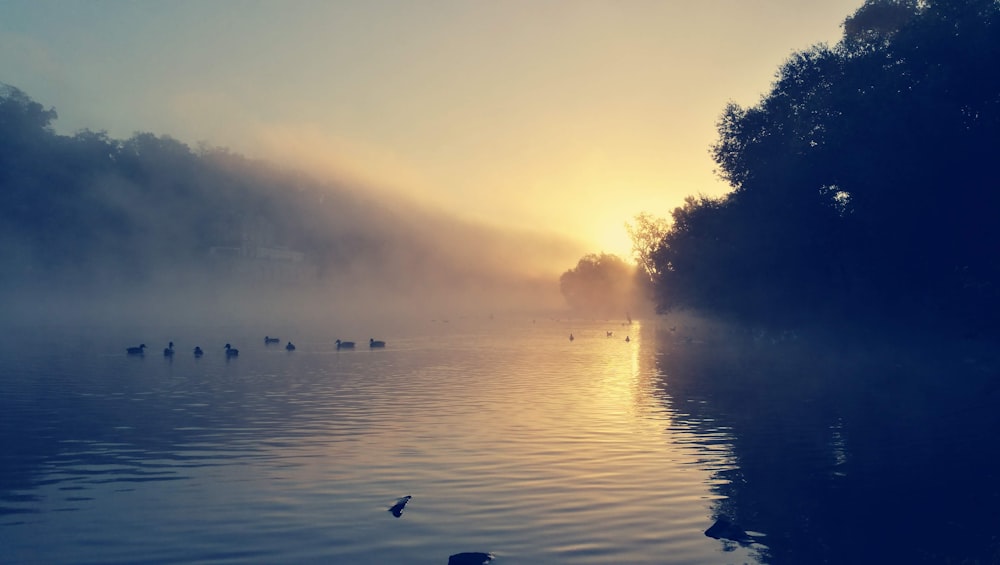 body of water during sunset