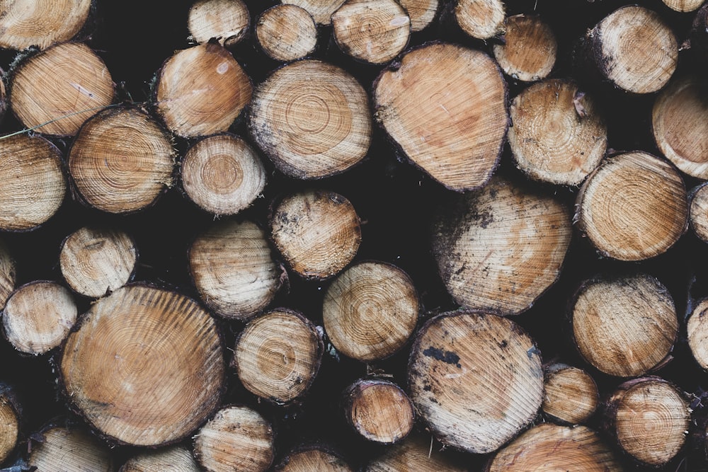 brown and black wood logs