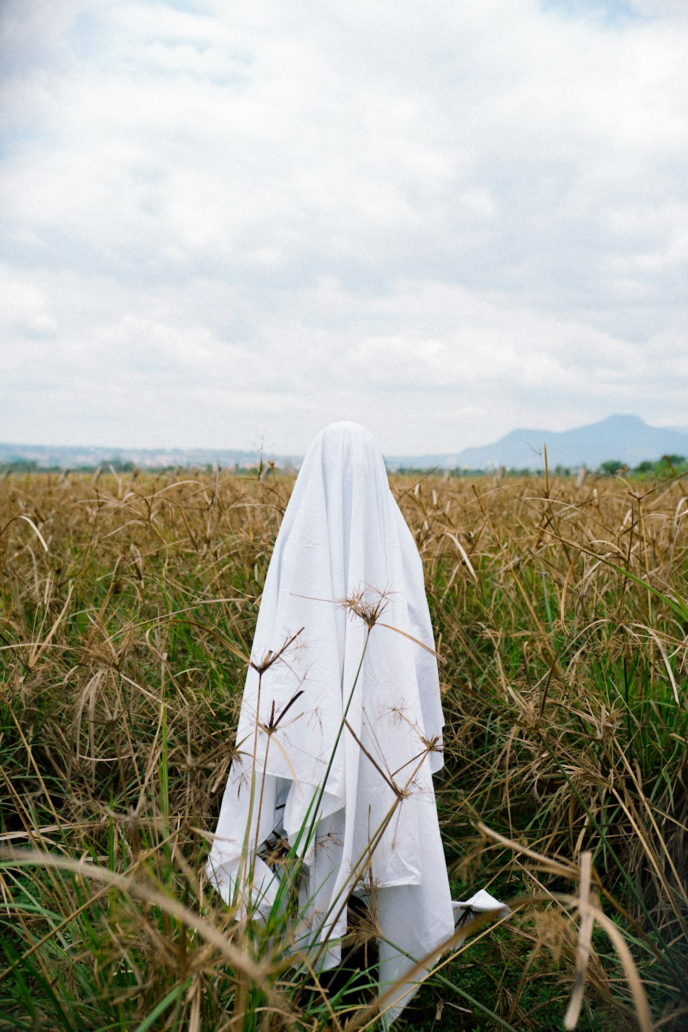 white textile on brown grass field during daytime