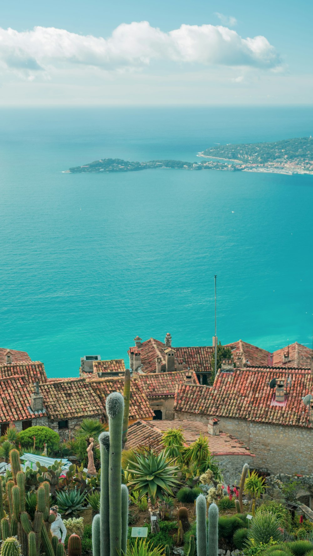 aerial view of city buildings near sea during daytime