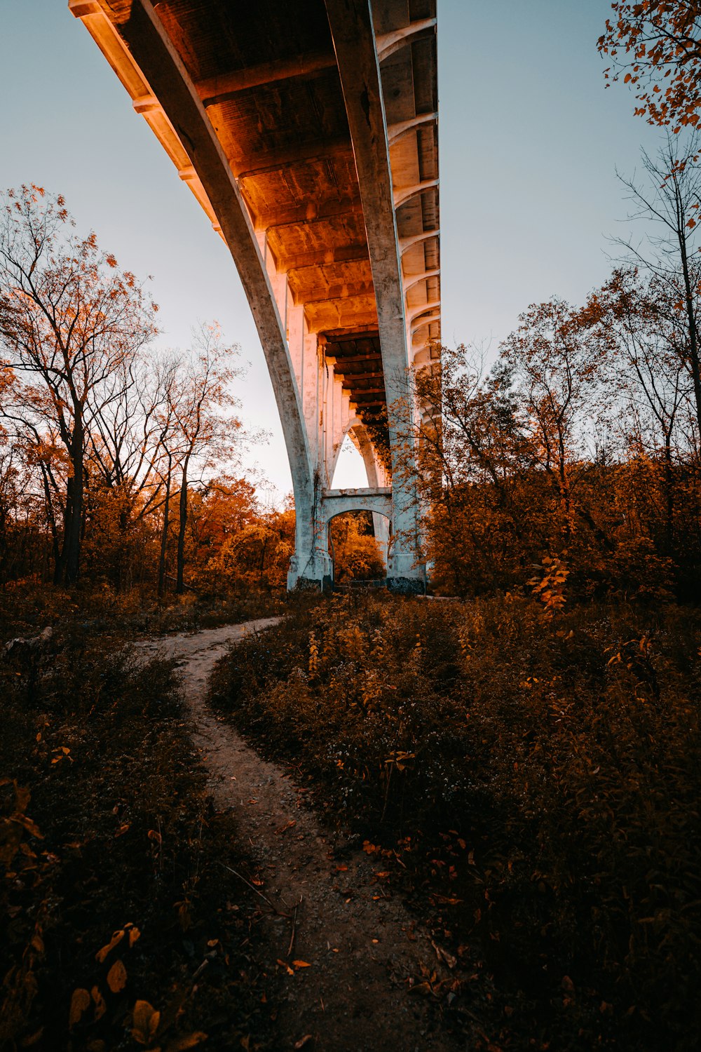 Puente de hormigón marrón sobre el río