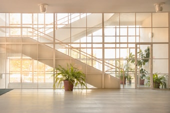A spacious interior with large glass windows allowing abundant natural light. A modern staircase with a minimalistic railing design is visible in the background. Several potted plants, including a large fern, add a touch of greenery to the open space.