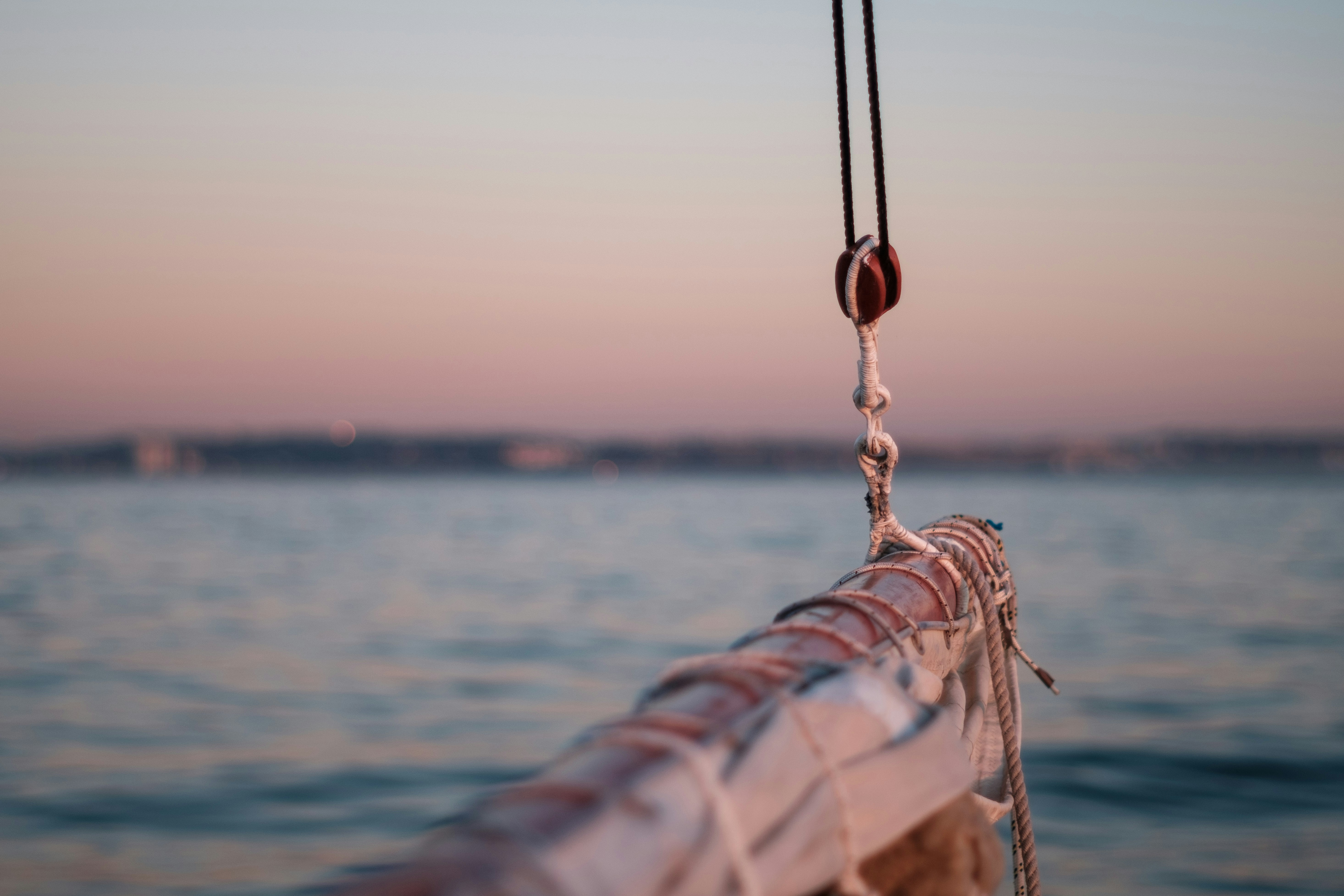 Photo by joaohackbart