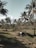 A smiling cyclist pausing beside a lush nipa palm grove under a bright blue sky.
