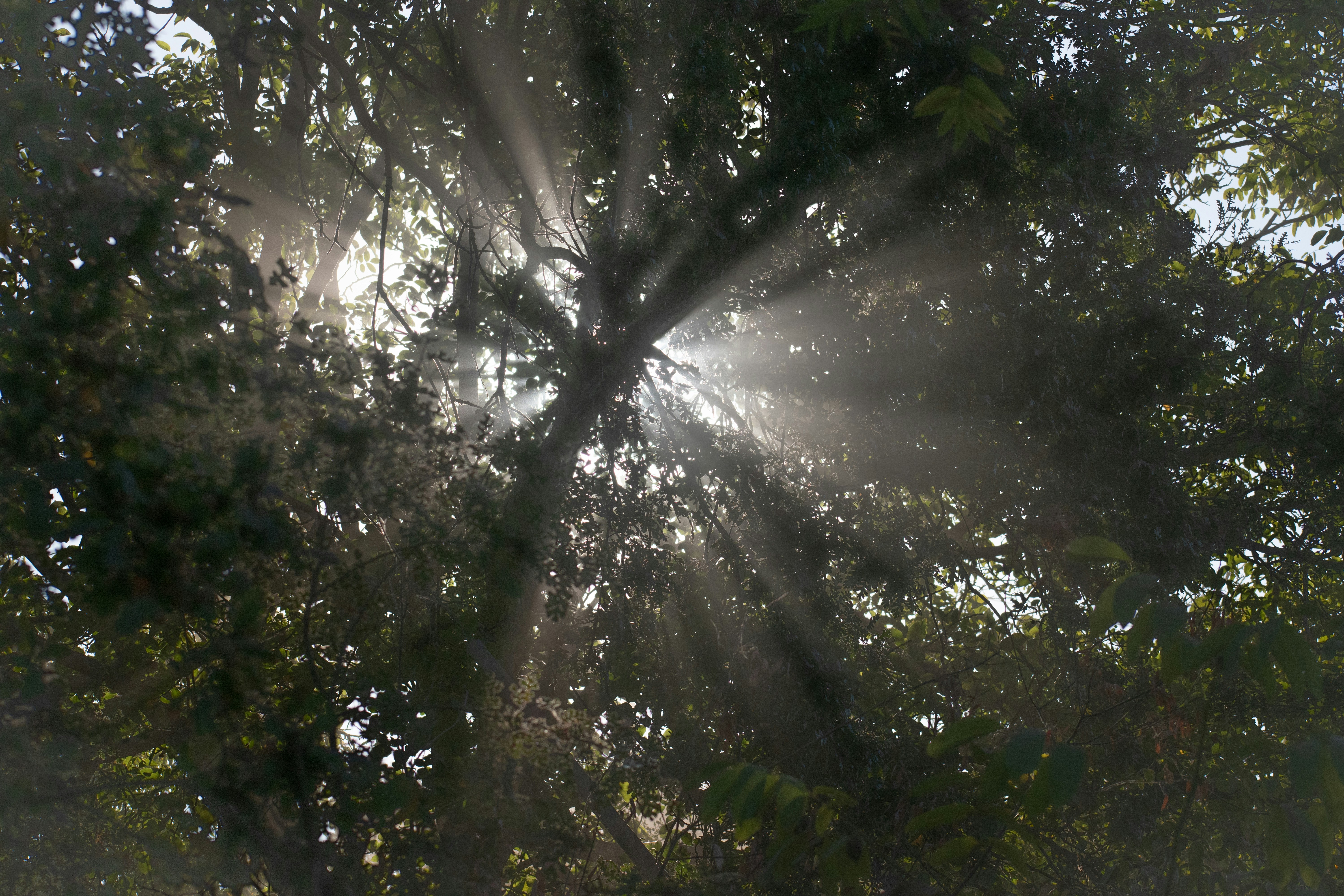 Photo by elisastonephotography