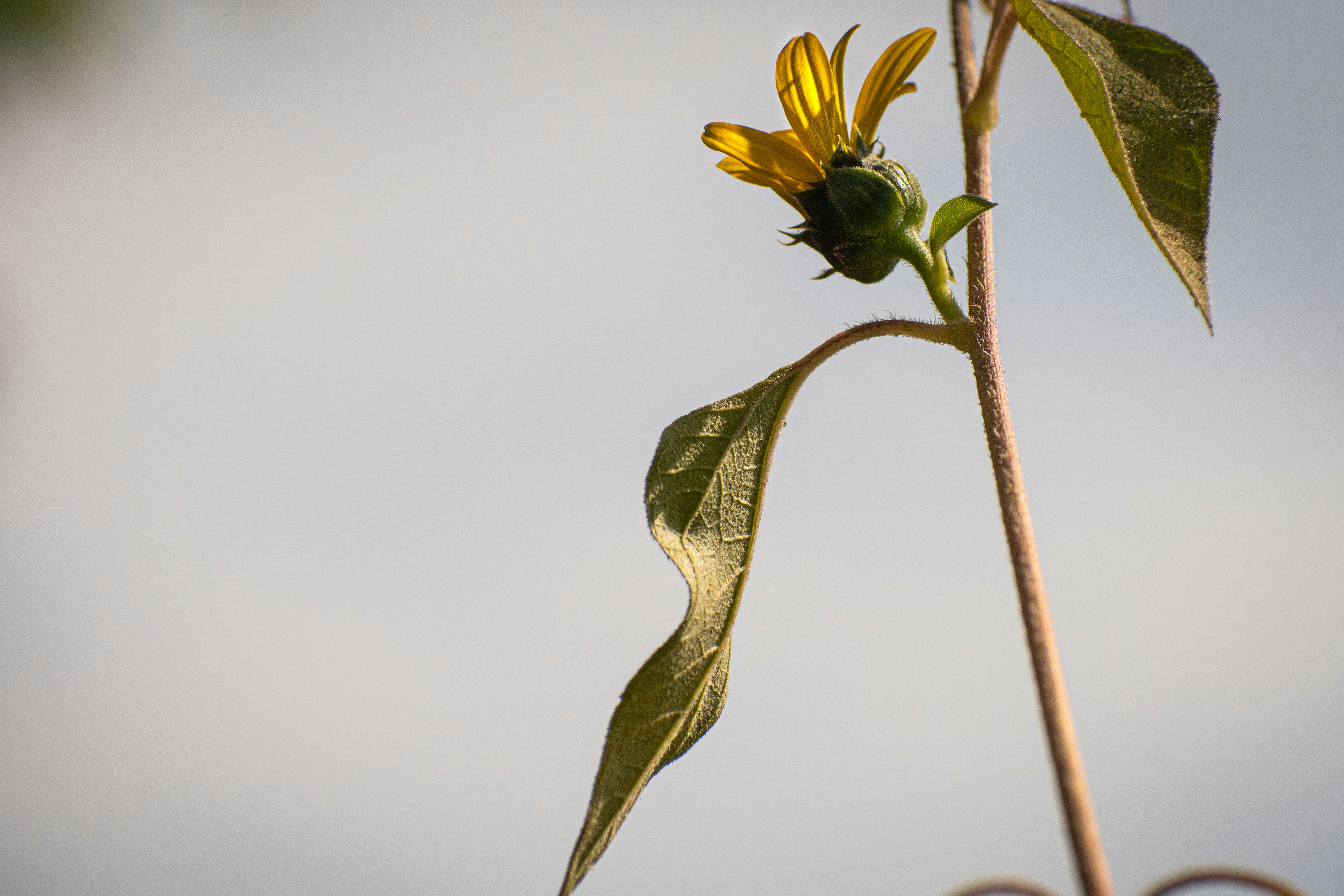 Photo by elisastonephotography