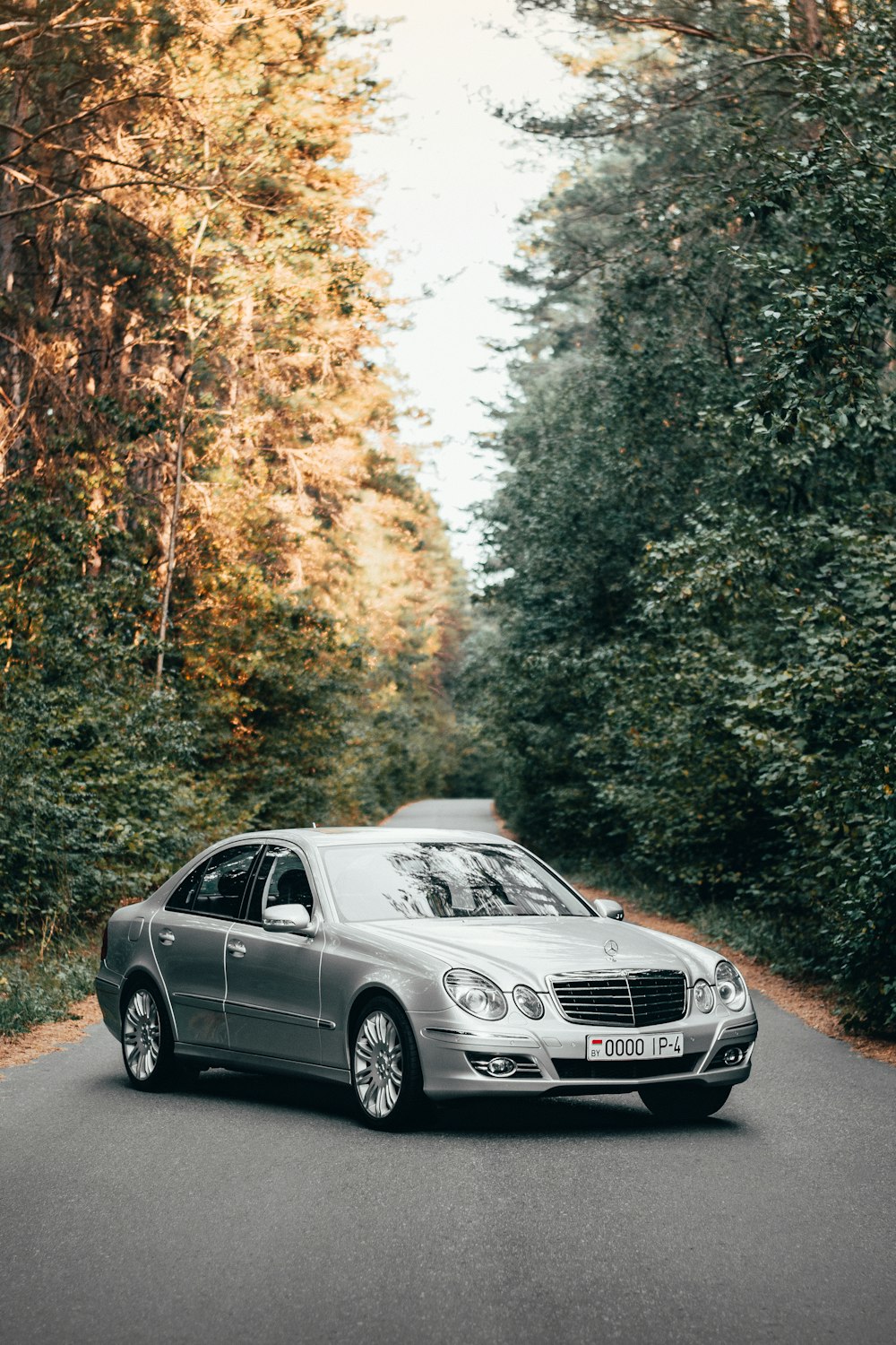 black mercedes benz sedan on road surrounded by trees during daytime