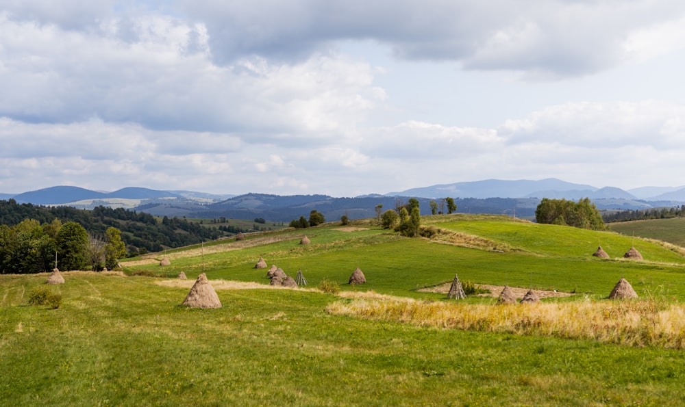 green grass field under white cloudy sky during daytime