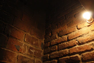A gritty, dark concrete wall textured with subtle film grain, illuminated by a single streak of empire gold light.