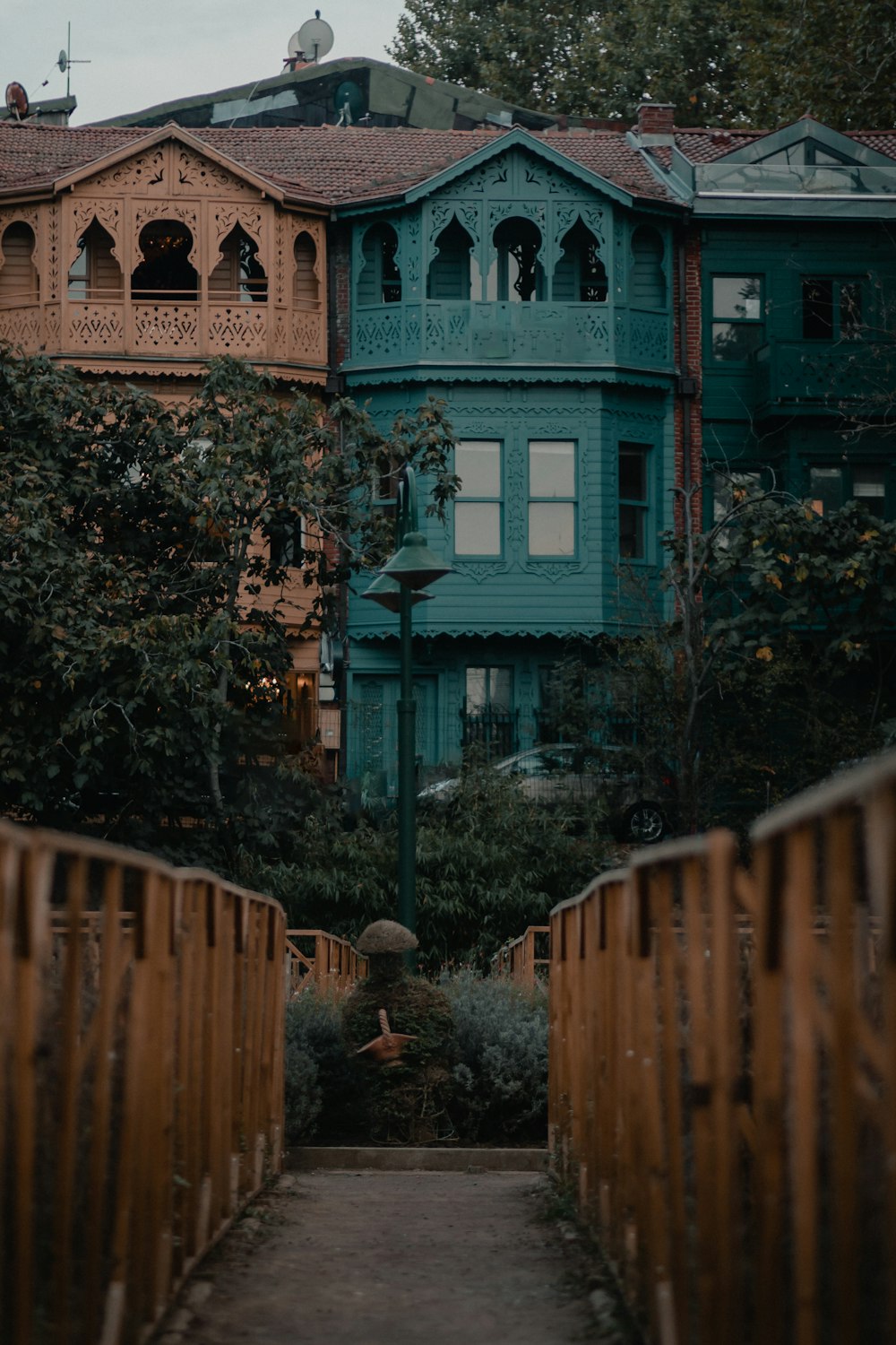 green tree near brown wooden fence