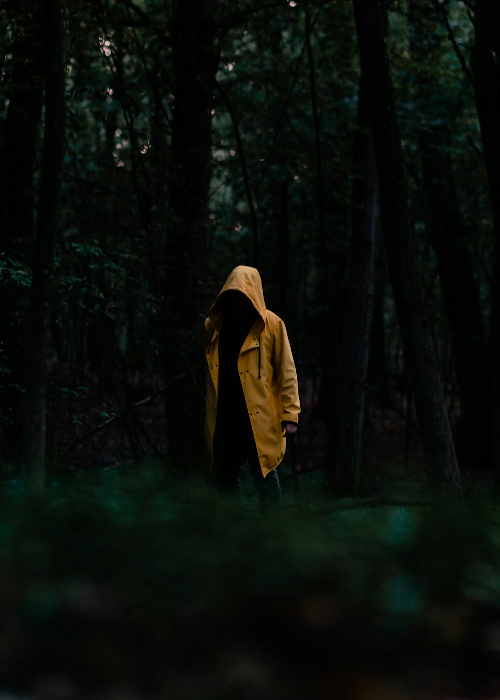 personne en sweat à capuche jaune debout dans les bois